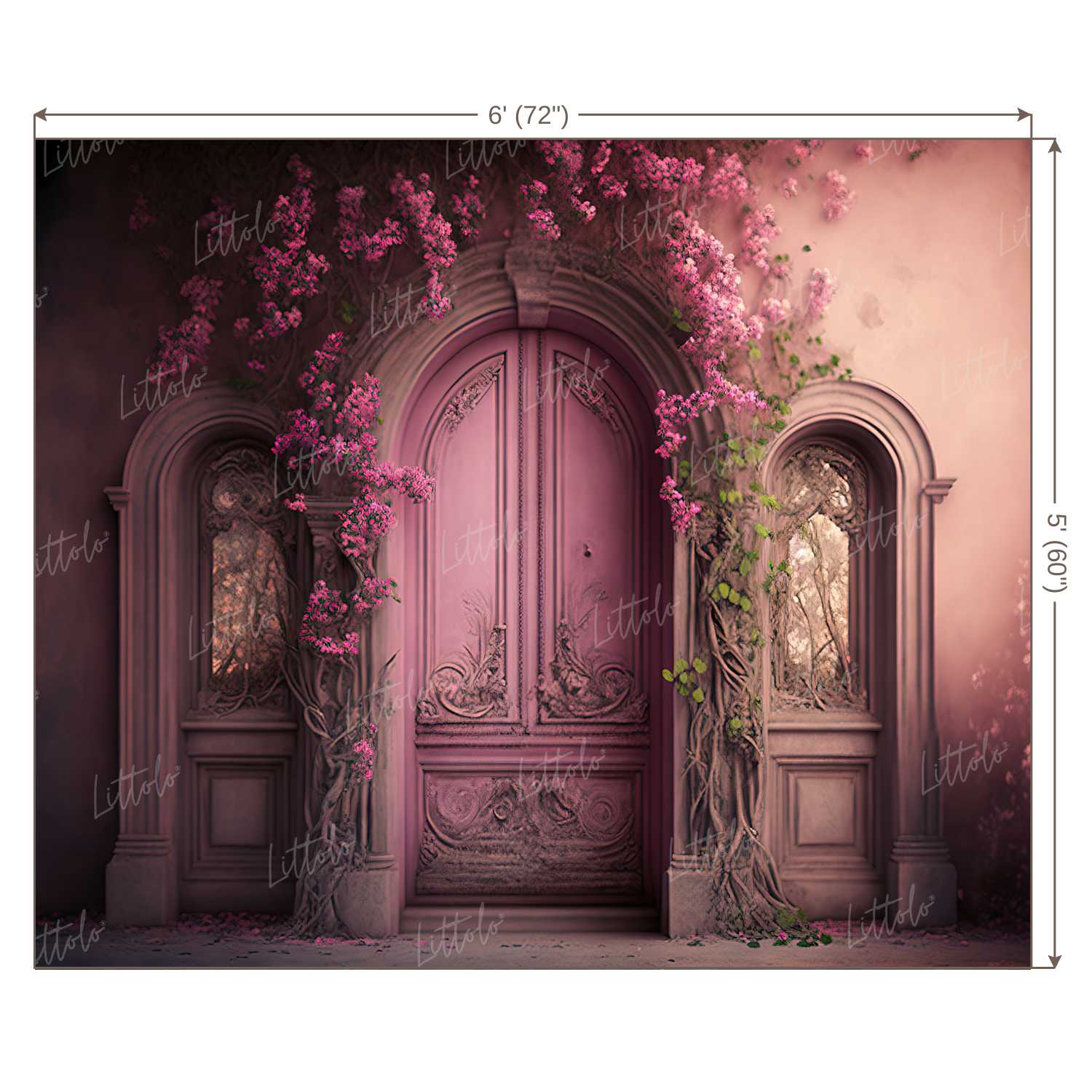 LB0546 Enchanted Doorway Backdrop