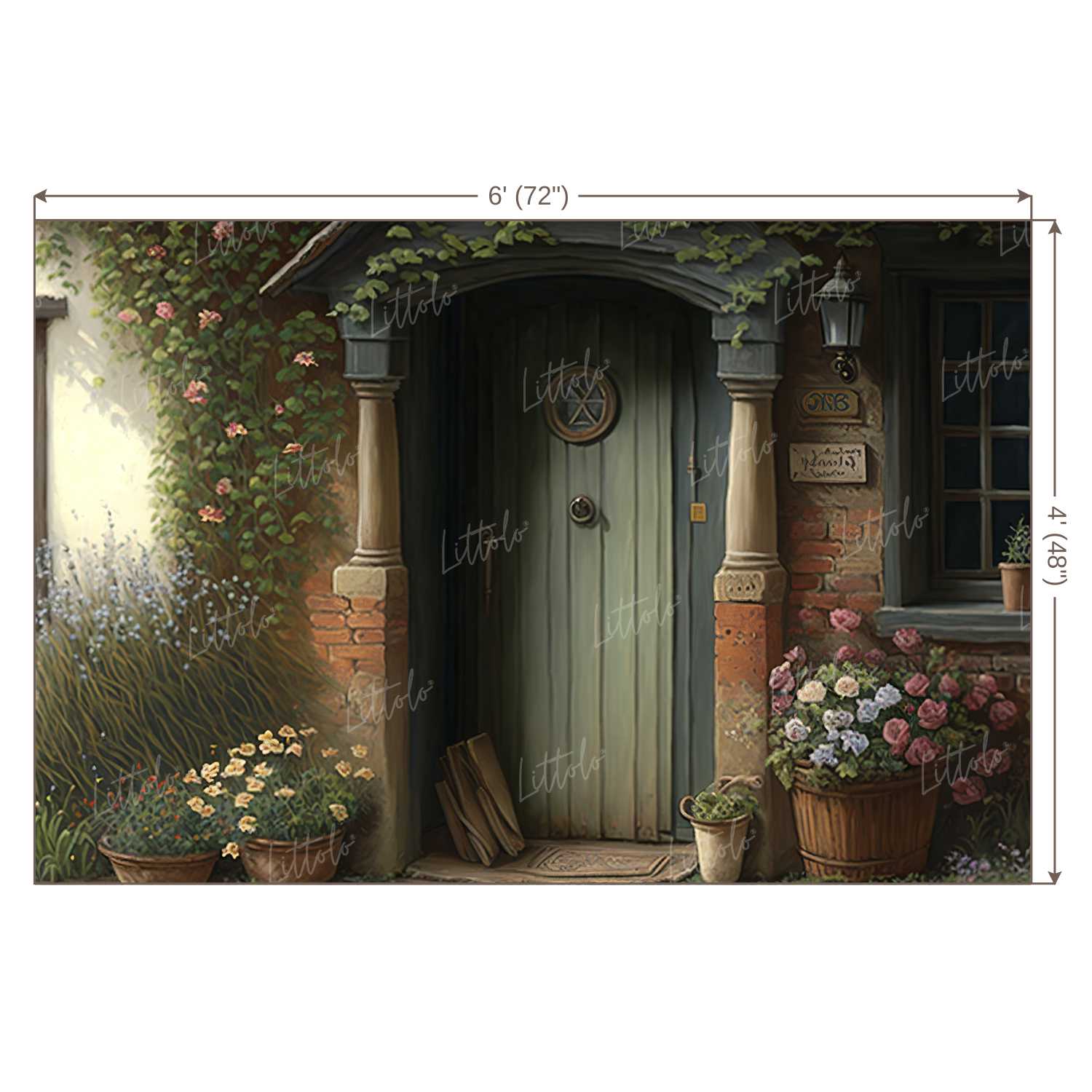 LB0556 Vintage Doorway Backdrop