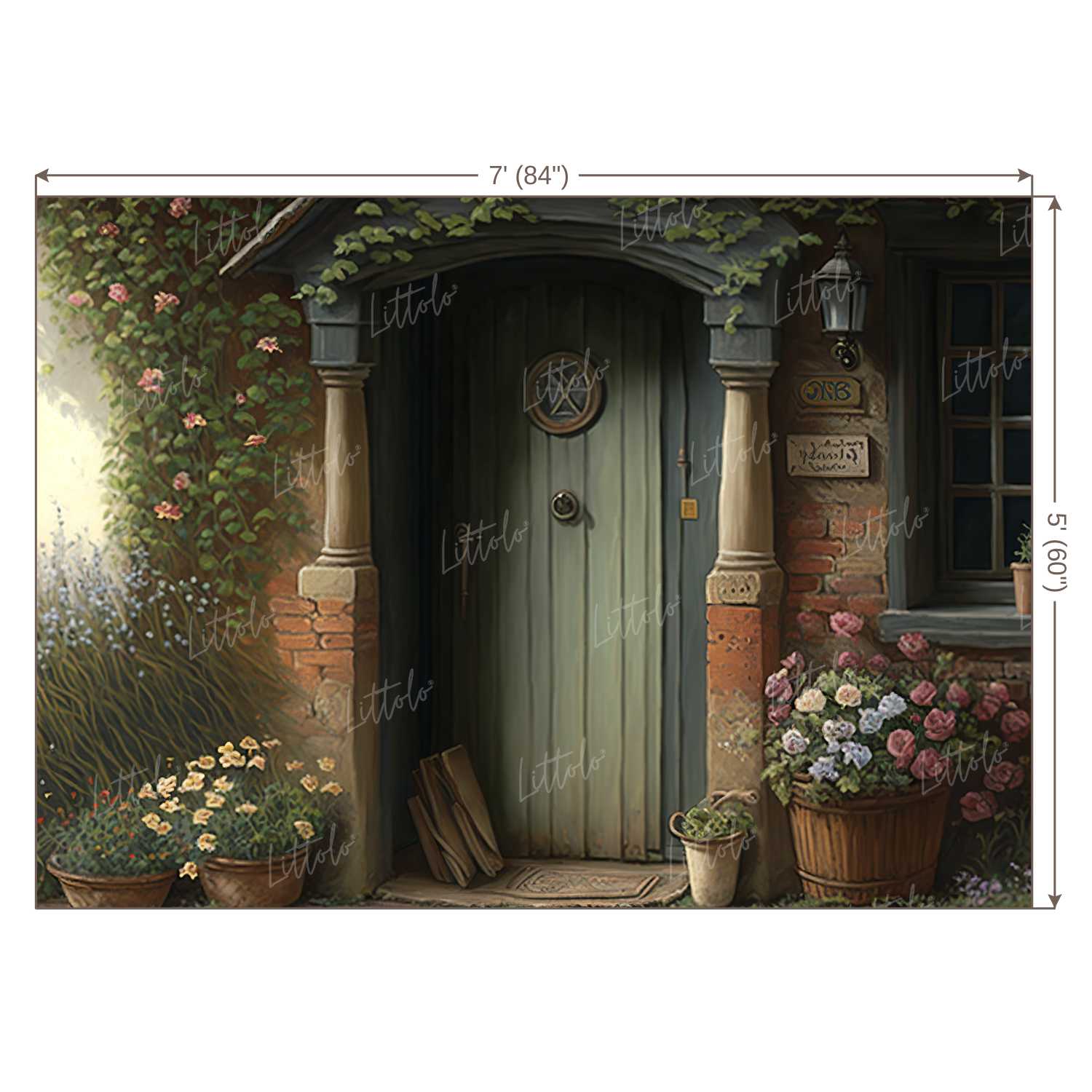 LB0556 Vintage Doorway Backdrop