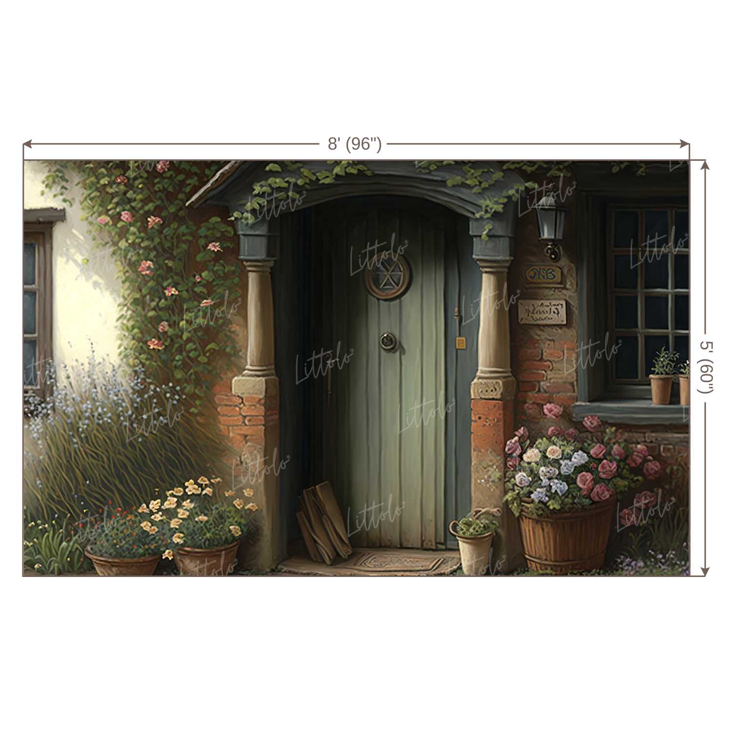 LB0556 Vintage Doorway Backdrop