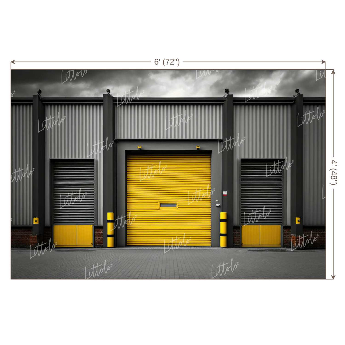 LB0590 Garage Roller shutter Backdrop