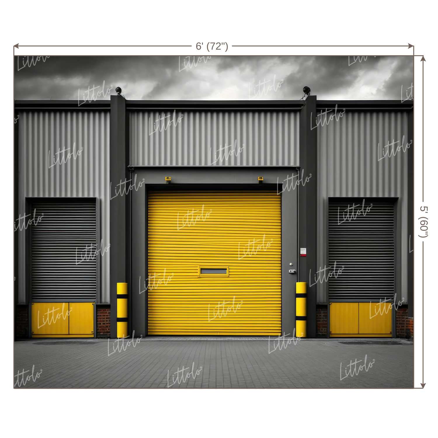 LB0590 Garage Roller shutter Backdrop