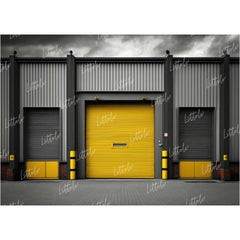 LB0590 Garage Roller shutter Backdrop