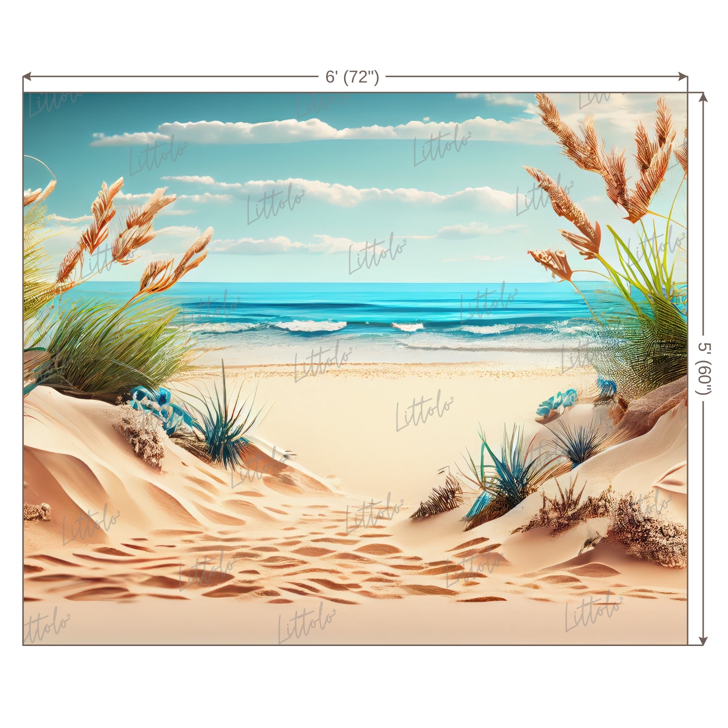 LB0593 Summer Beach Backdrop