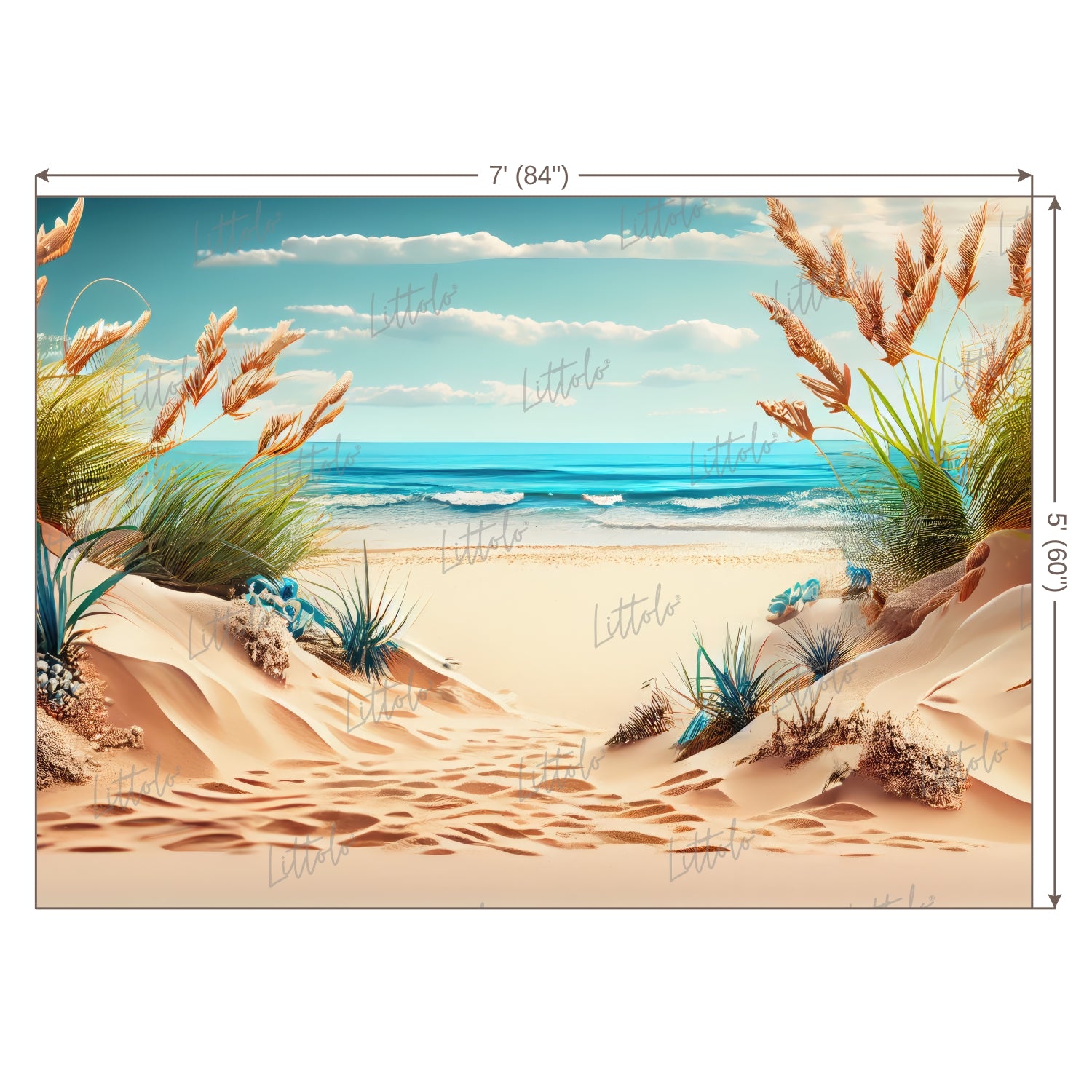 LB0593 Summer Beach Backdrop