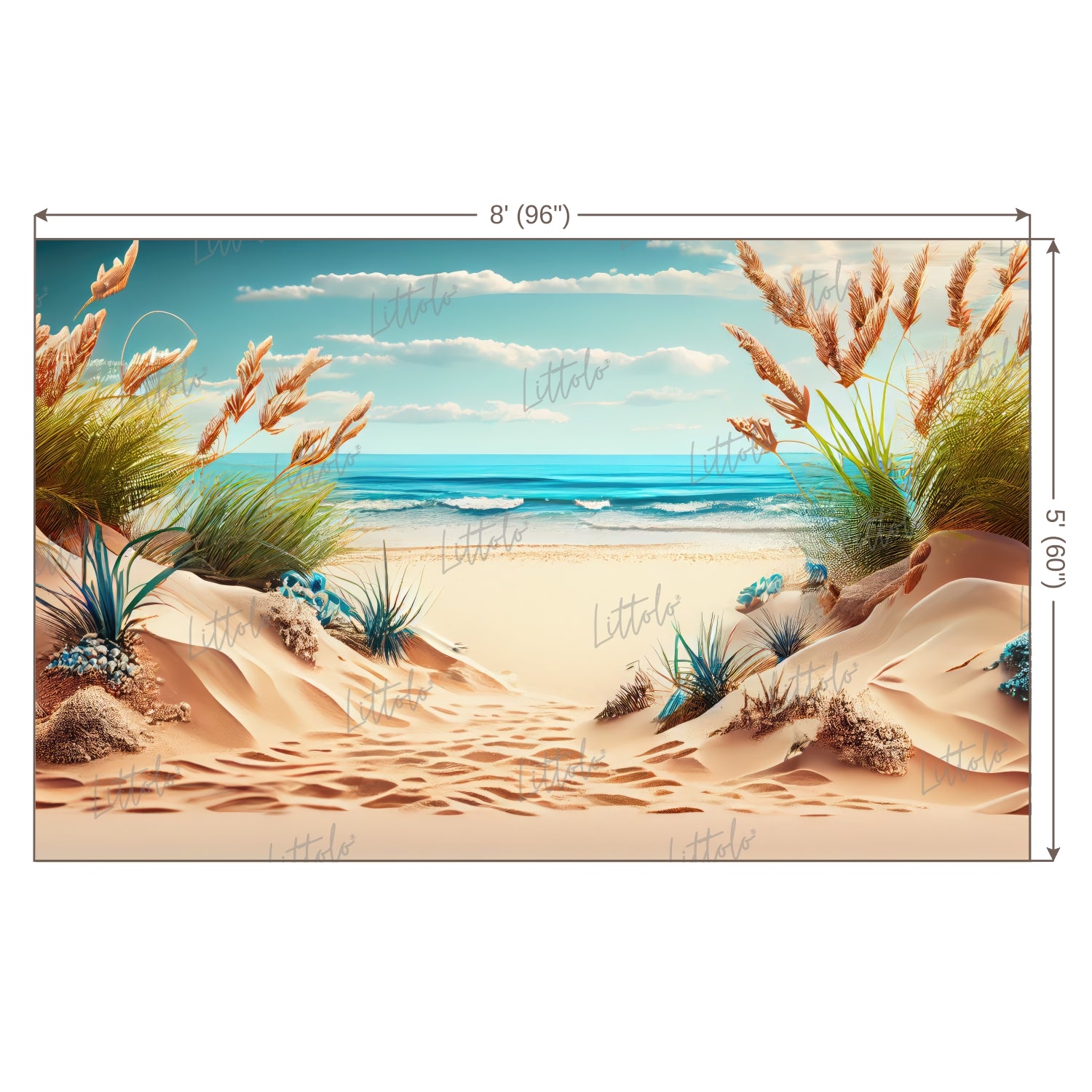 LB0593 Summer Beach Backdrop