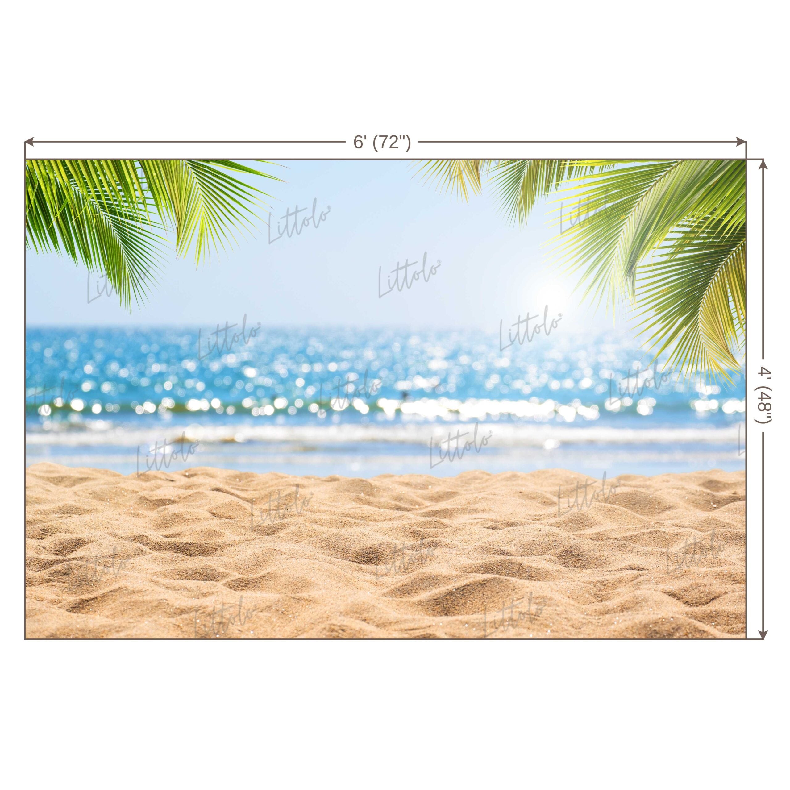 LB0618 Summer Beach Backdrop