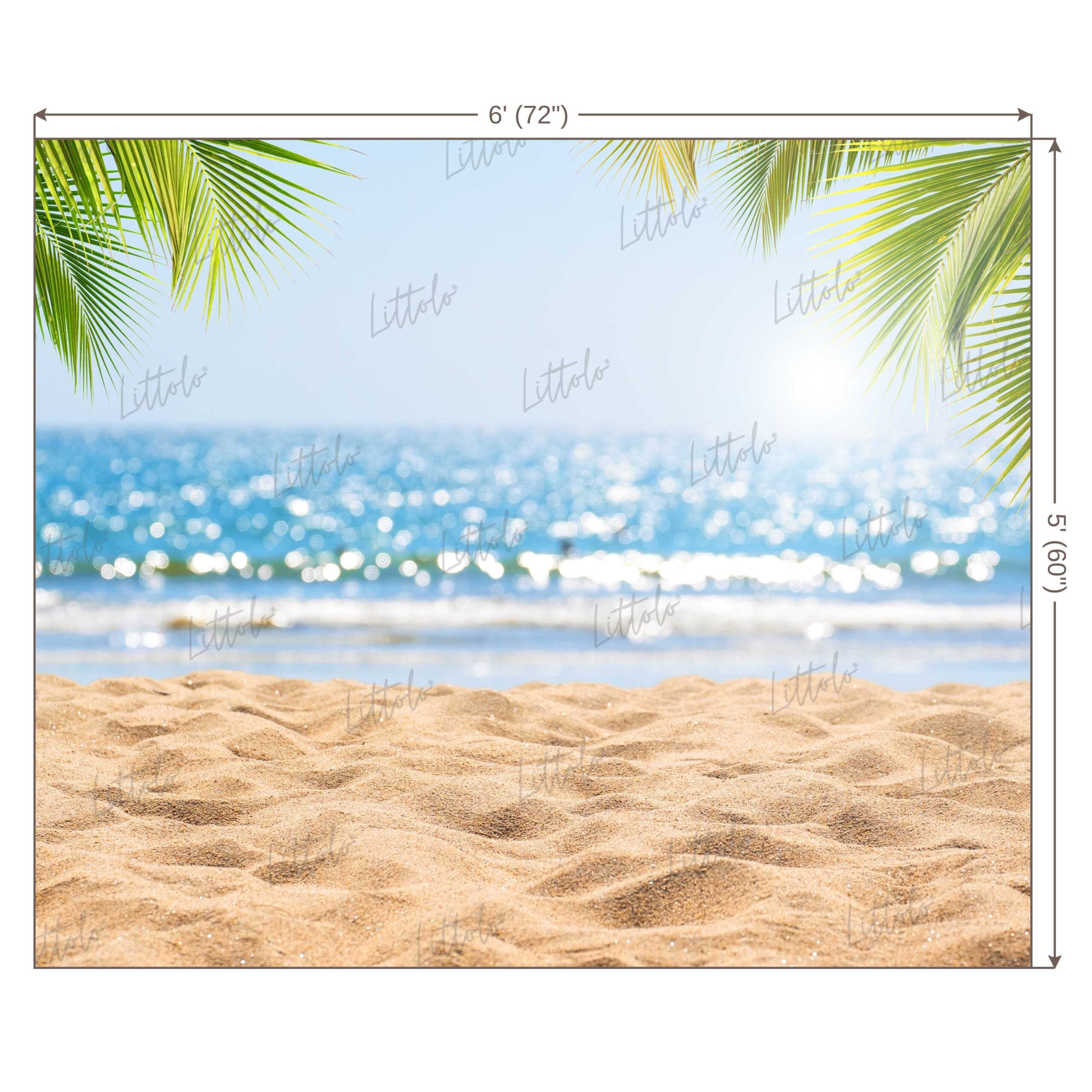 LB0618 Summer Beach Backdrop