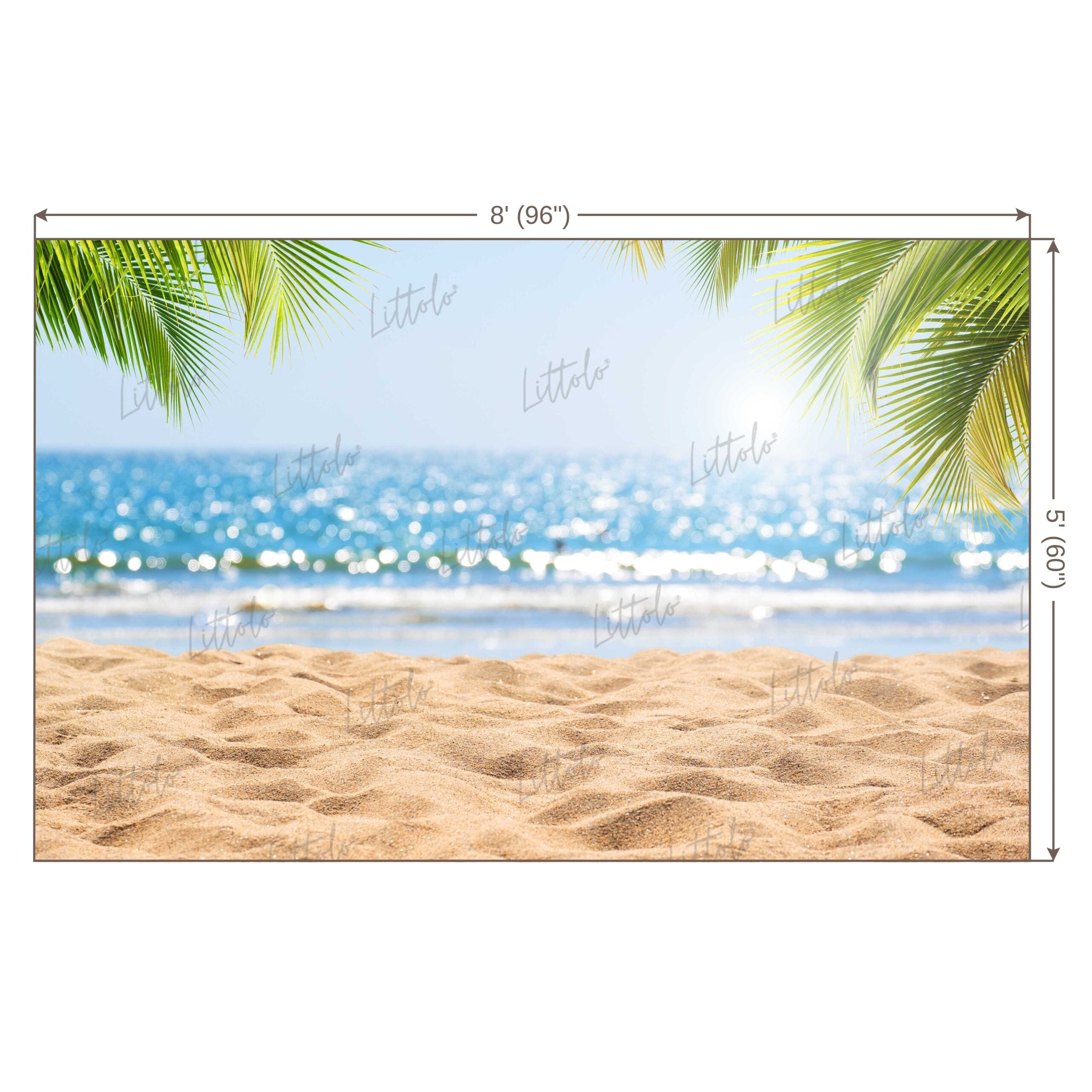 LB0618 Summer Beach Backdrop