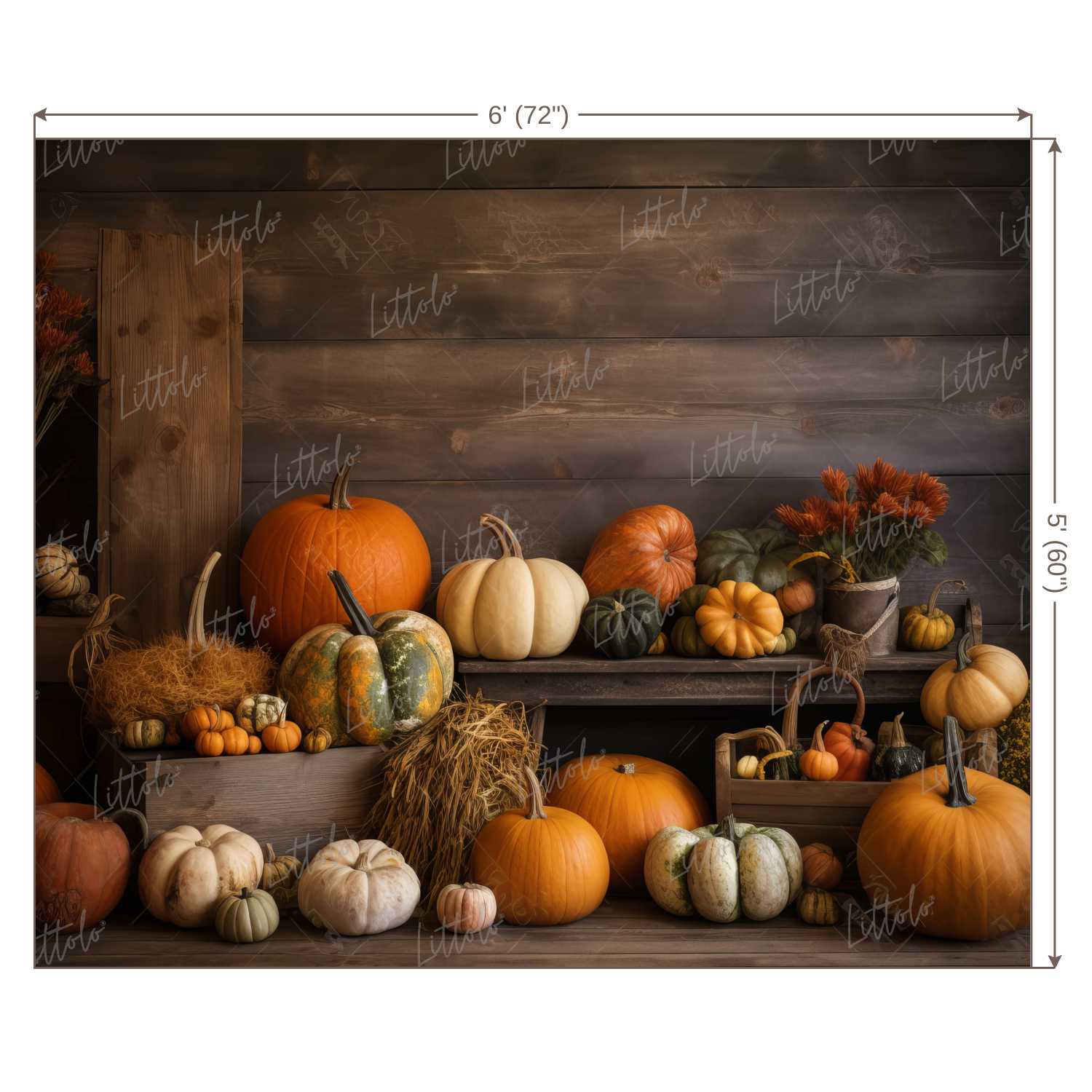 LB0662 Halloween Backdrop