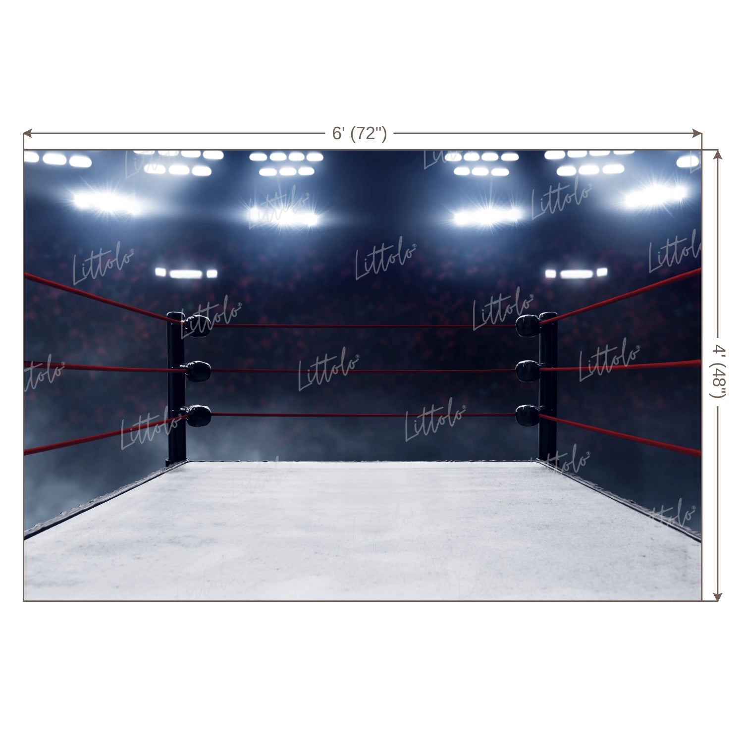 LB0692 Boxer Ring Backdrop