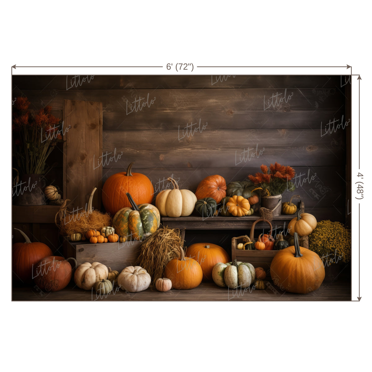 LB0699 Halloween Backdrop