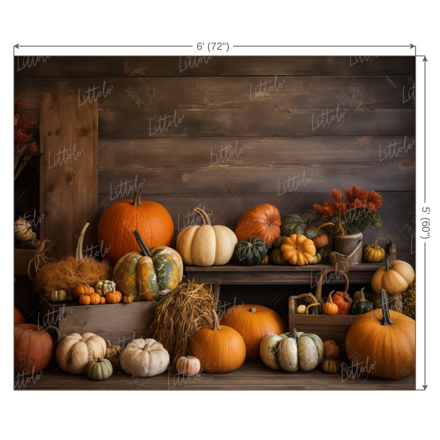 LB0699 Halloween Backdrop