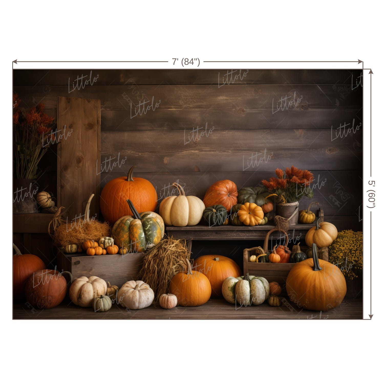 LB0699 Halloween Backdrop