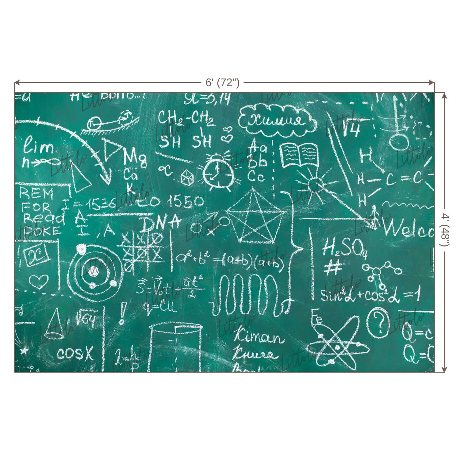 LB0705 Back to School Chalk Board Backdrop