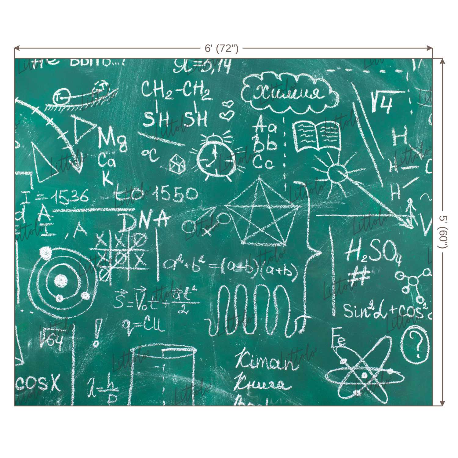 LB0705 Back to School Chalk Board Backdrop