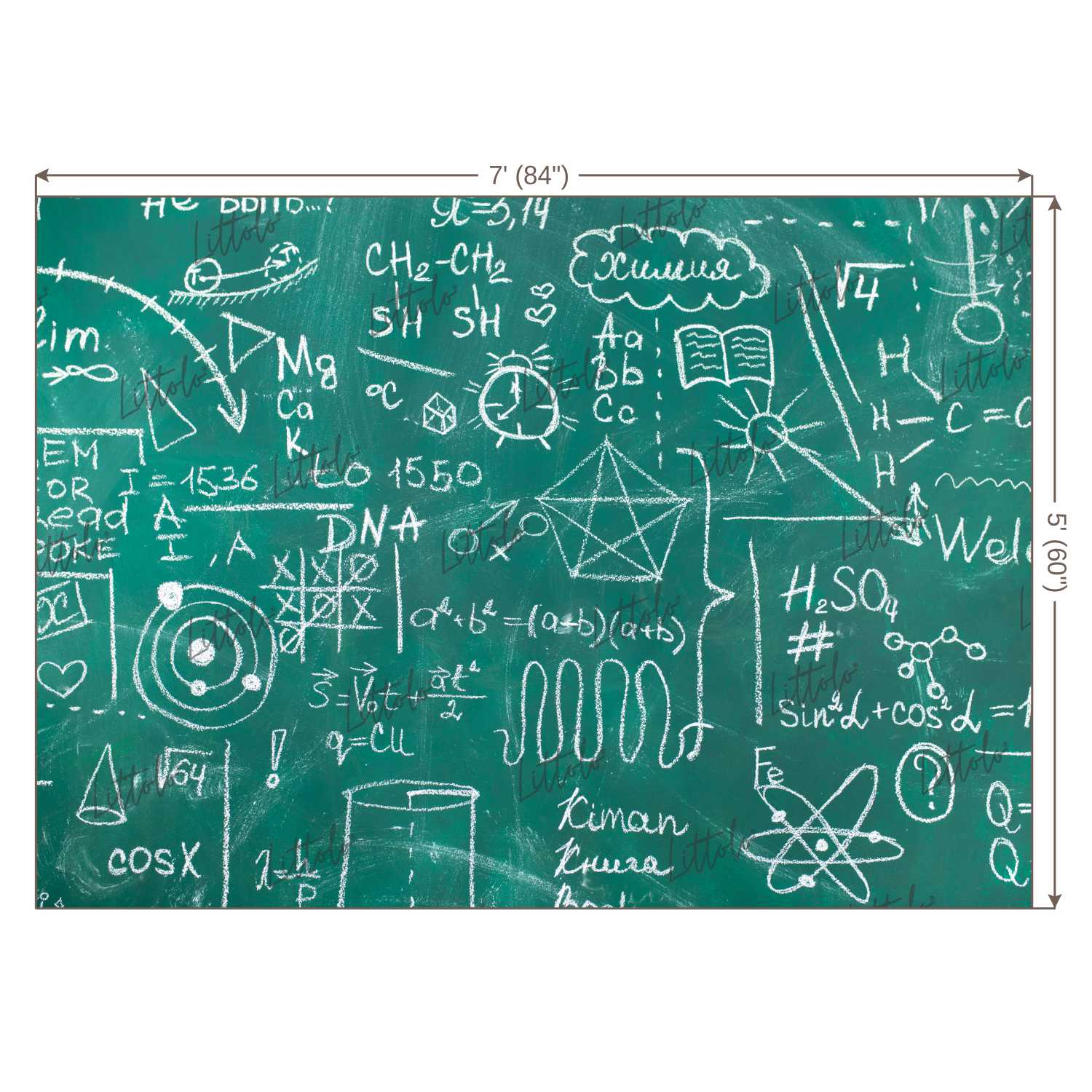 LB0705 Back to School Chalk Board Backdrop