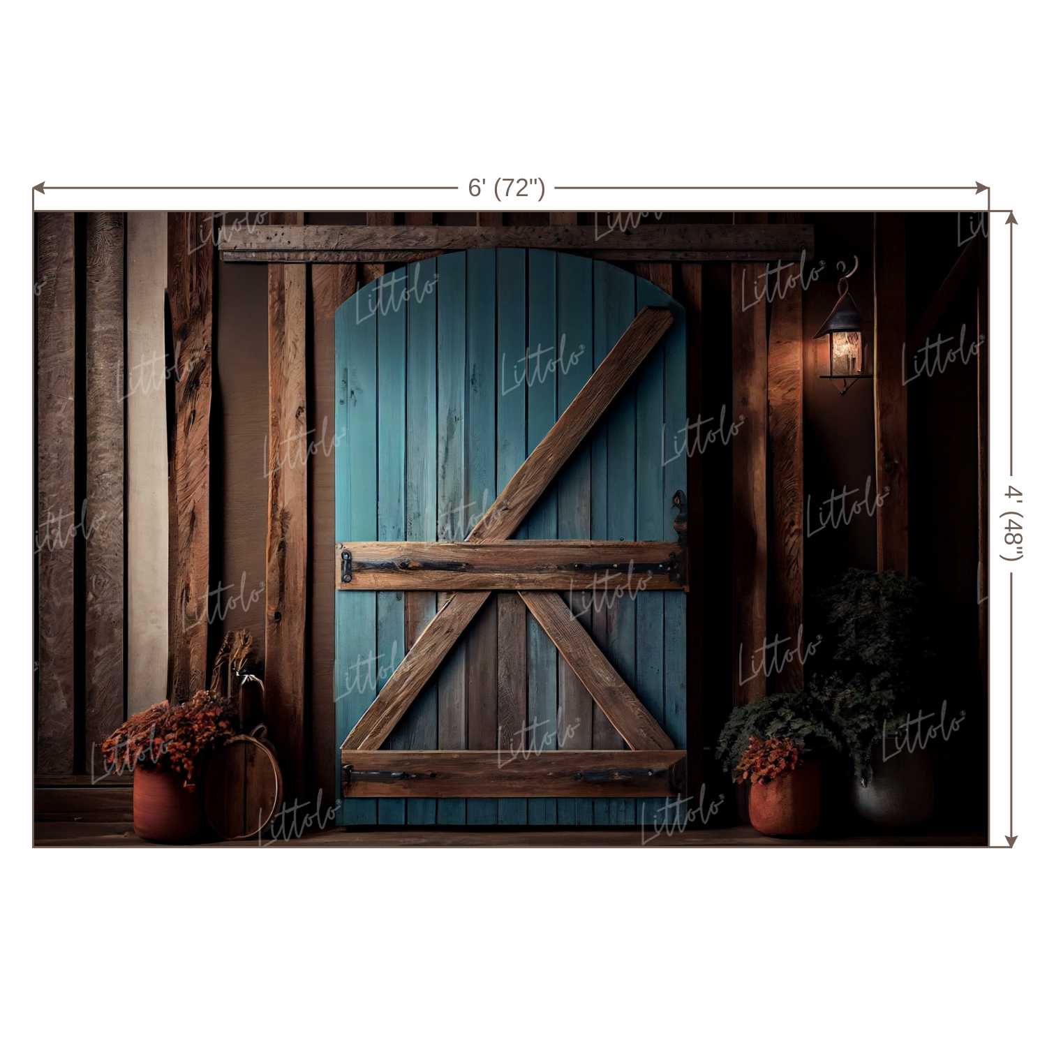 LB0743 Vintage Doorway Backdrop