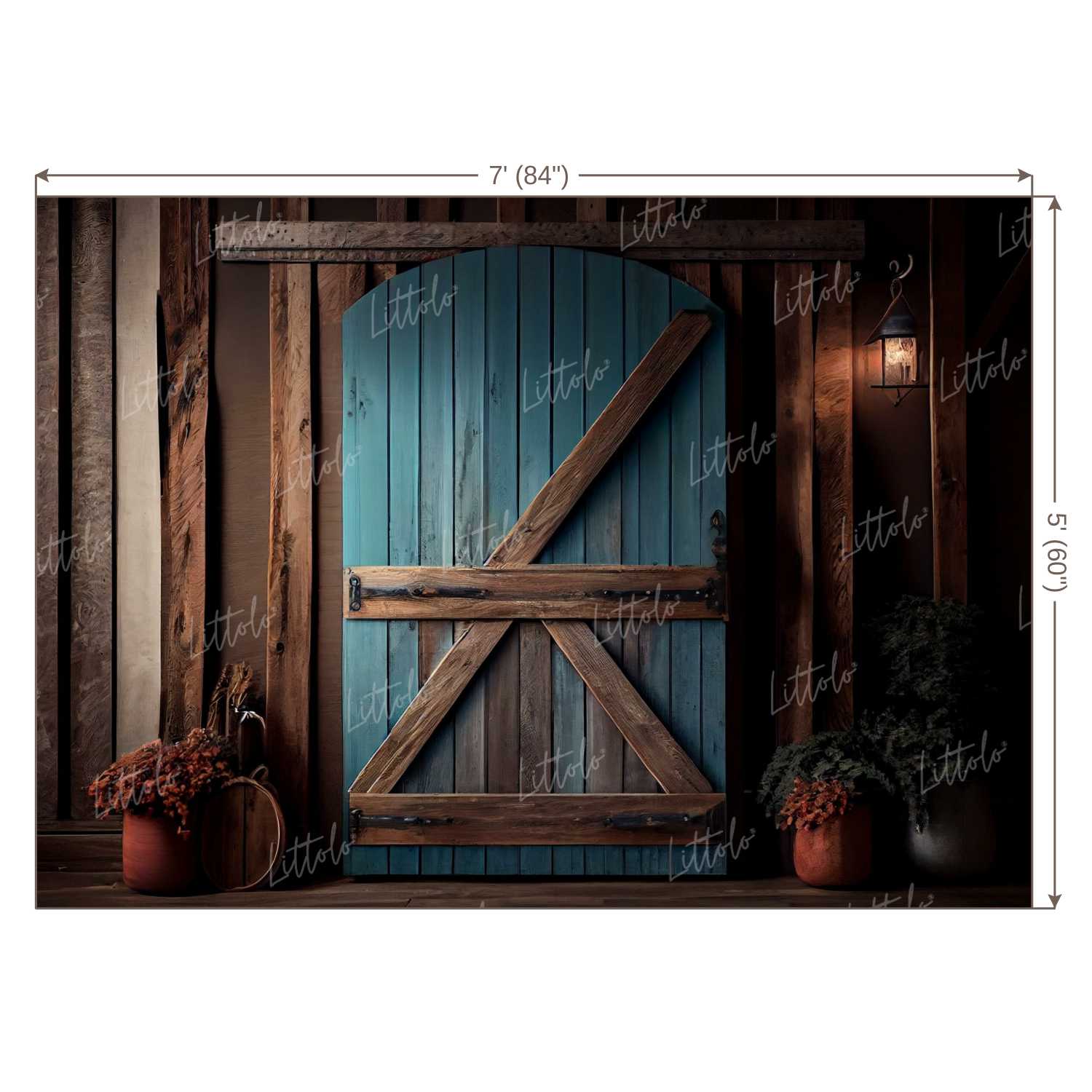 LB0743 Vintage Doorway Backdrop