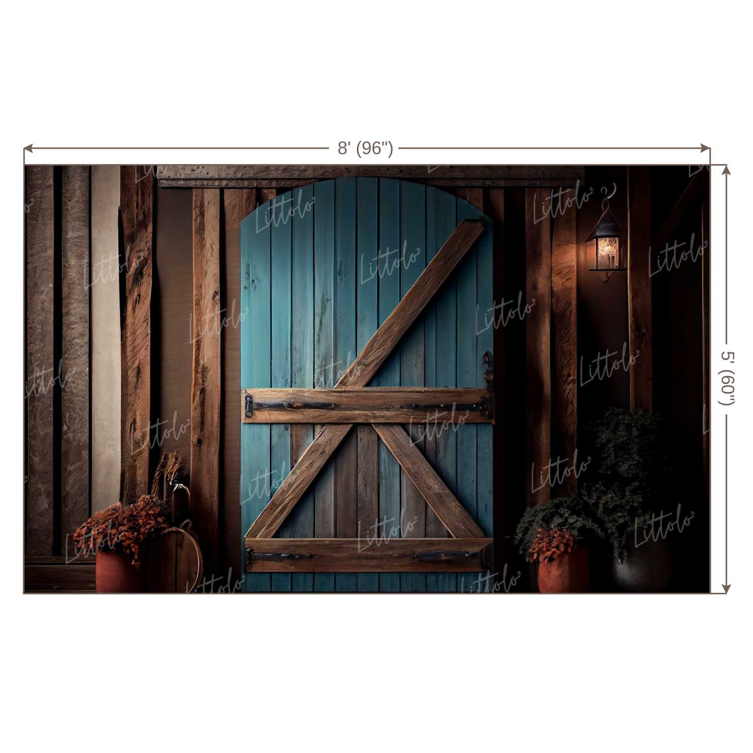 LB0743 Vintage Doorway Backdrop