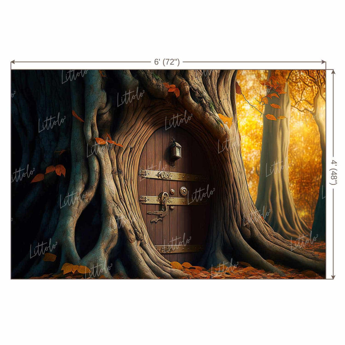 LB0807 Fantasy House Doorway Backdrop