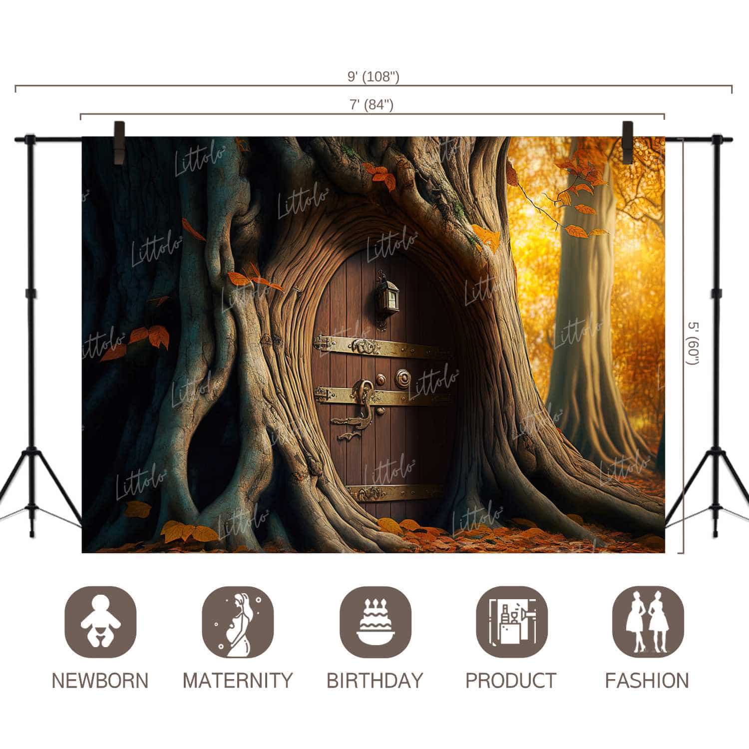 LB0807 Fantasy House Doorway Backdrop