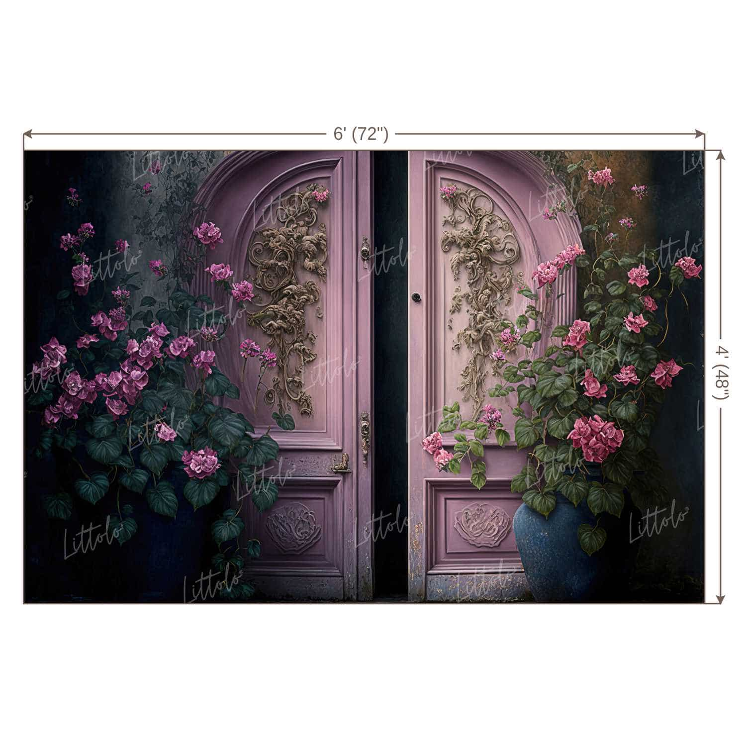 LB0826 Enchanting Doorway Backdrop