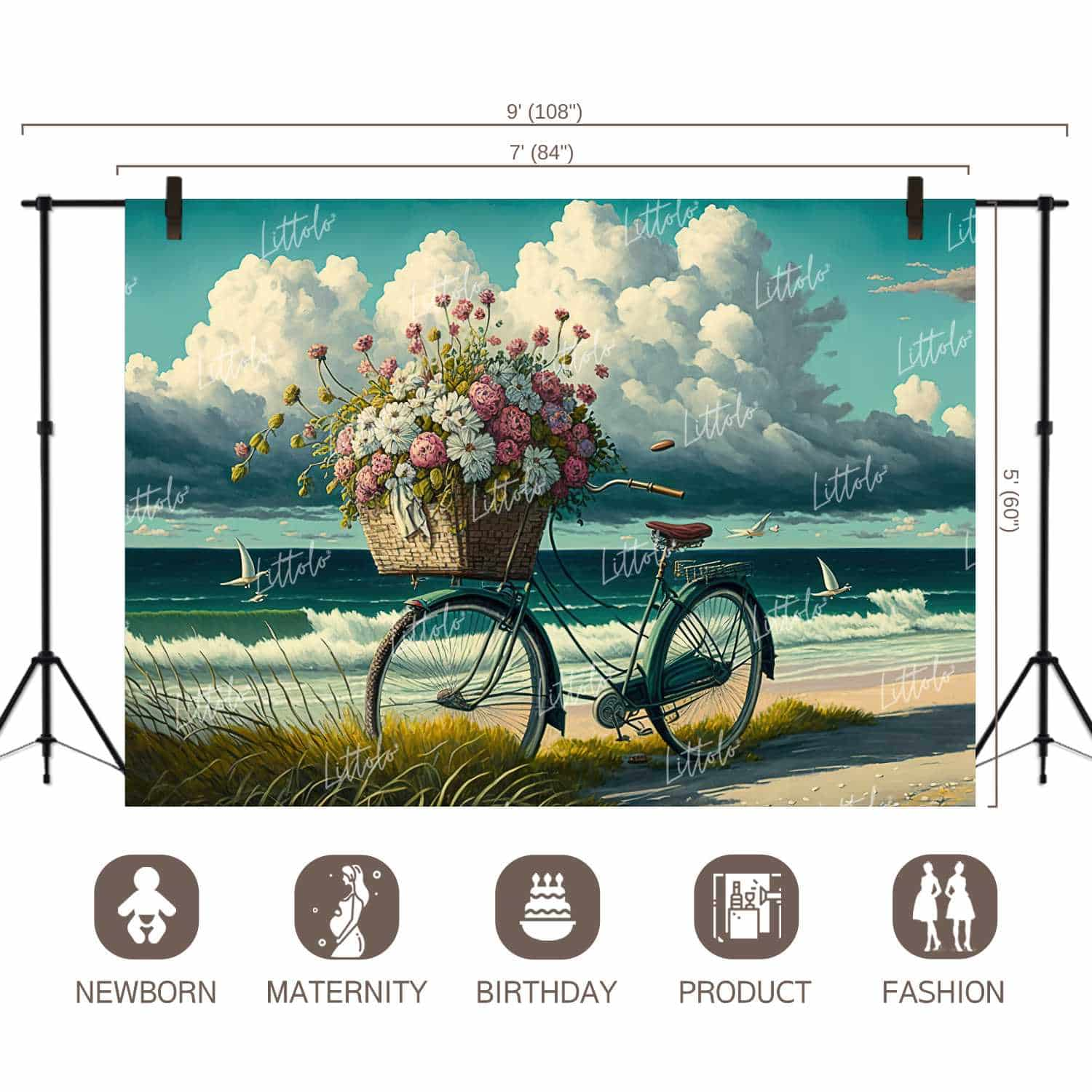 LB0892 Bicycle with Flower Basket on beach Backdrop