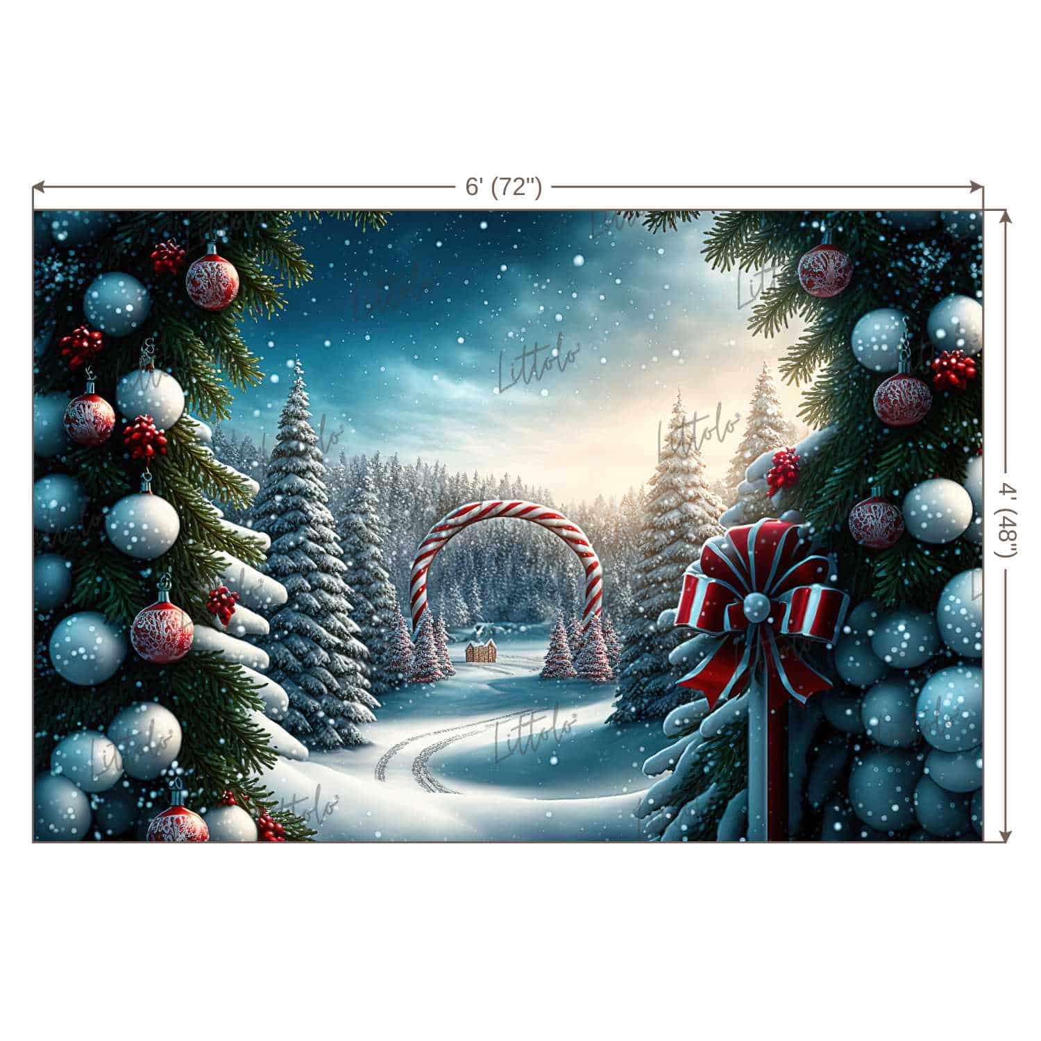 LB0900 Christmas Backdrop