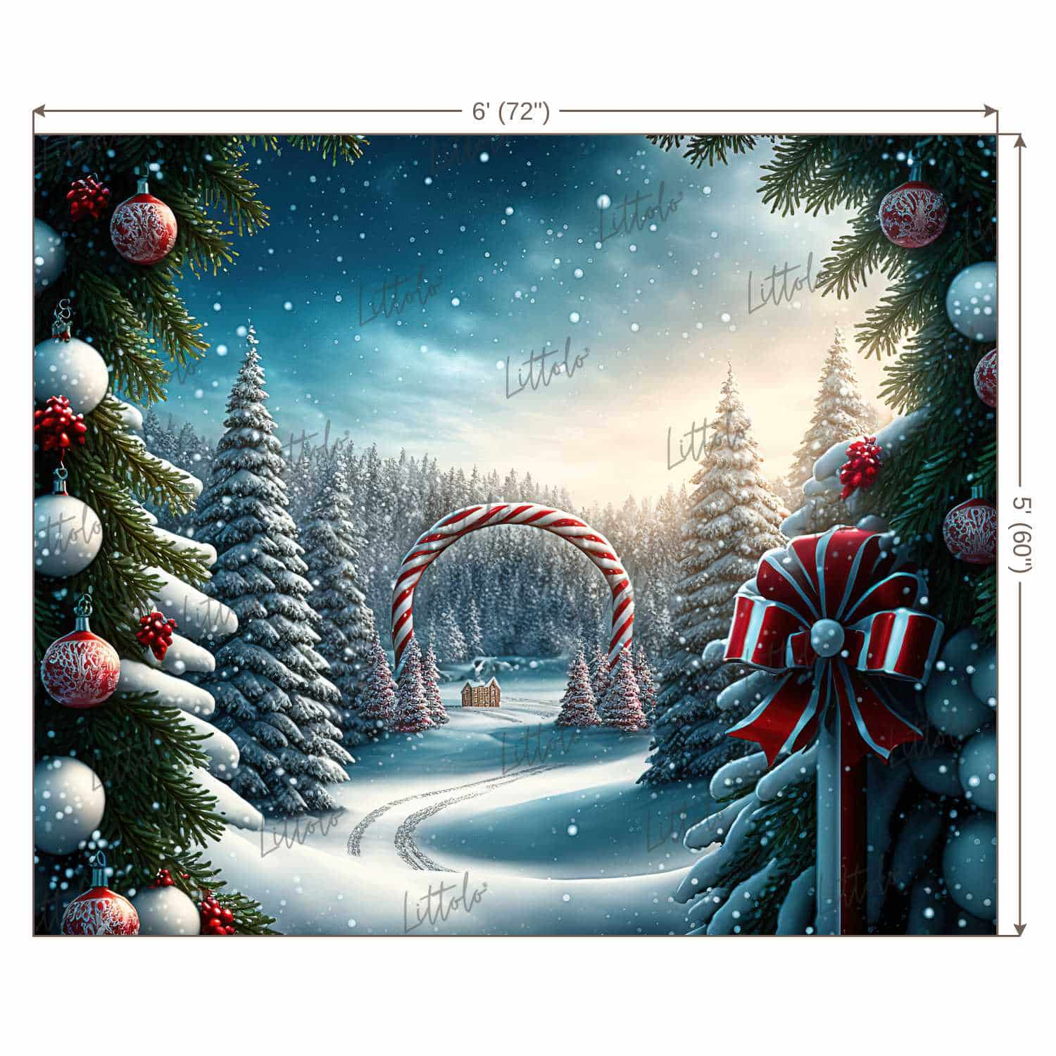 LB0900 Christmas Backdrop