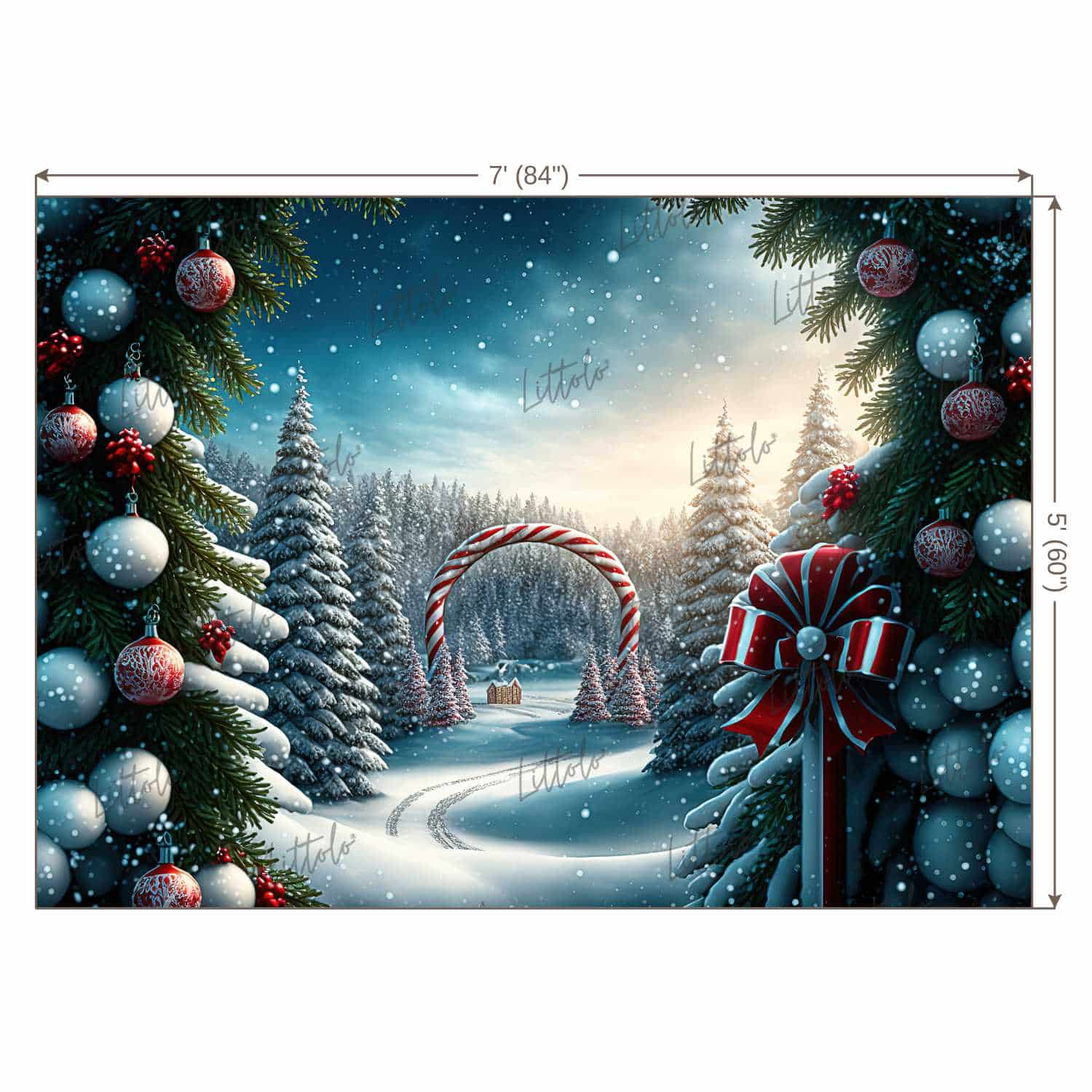 LB0900 Christmas Backdrop