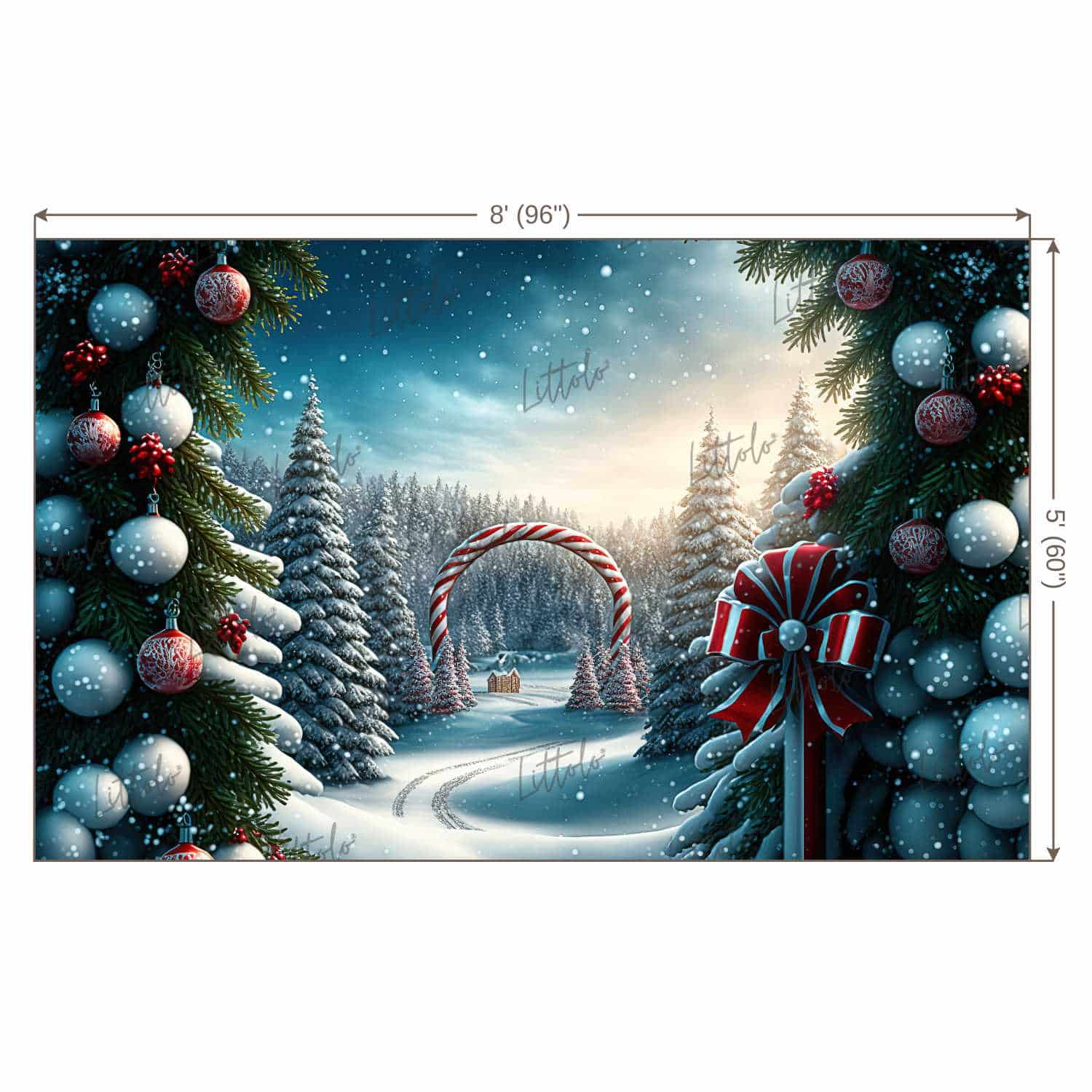 LB0900 Christmas Backdrop