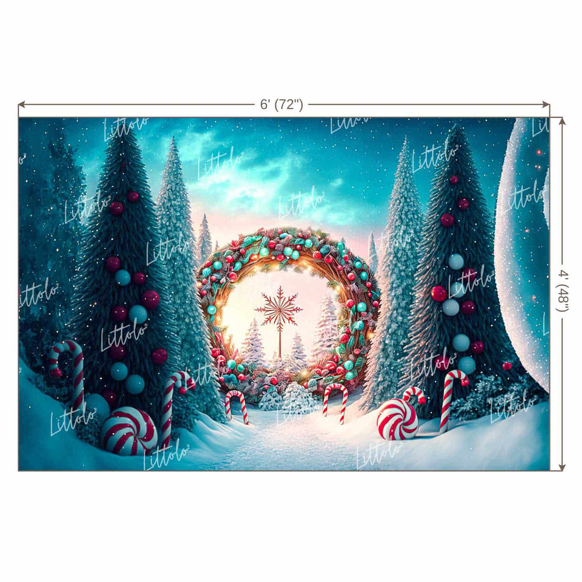 LB0910 Christmas Backdrop