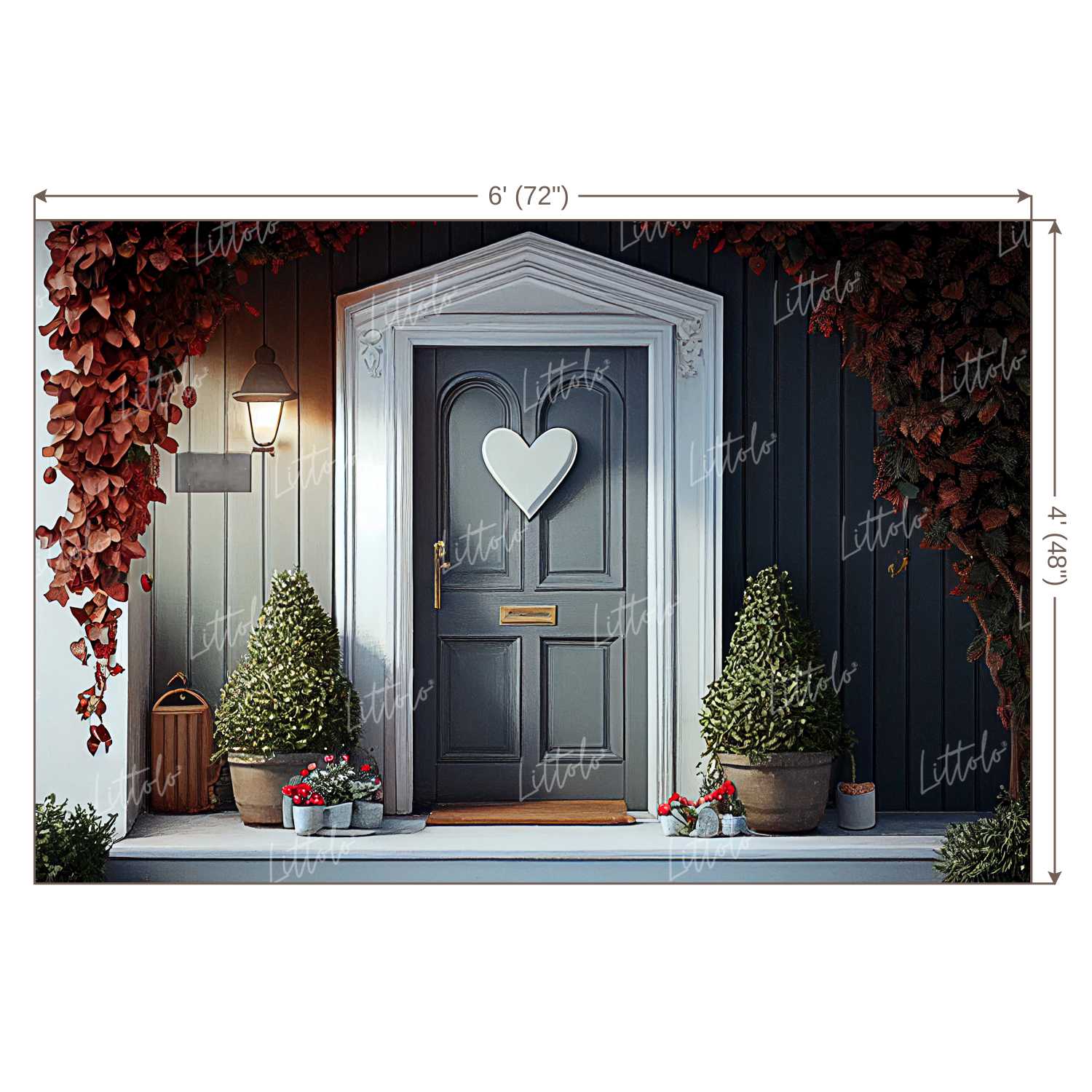 LB0947 Valentine Day Backdrop