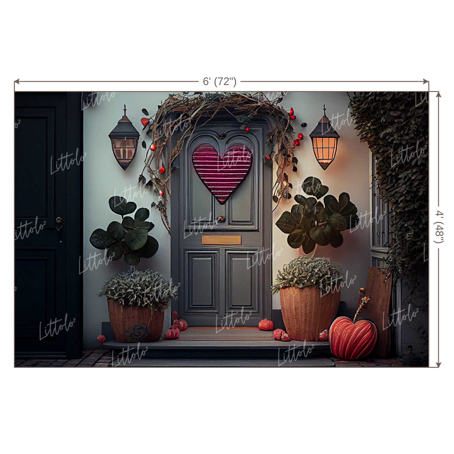 LB0948 Valentine Day Backdrop