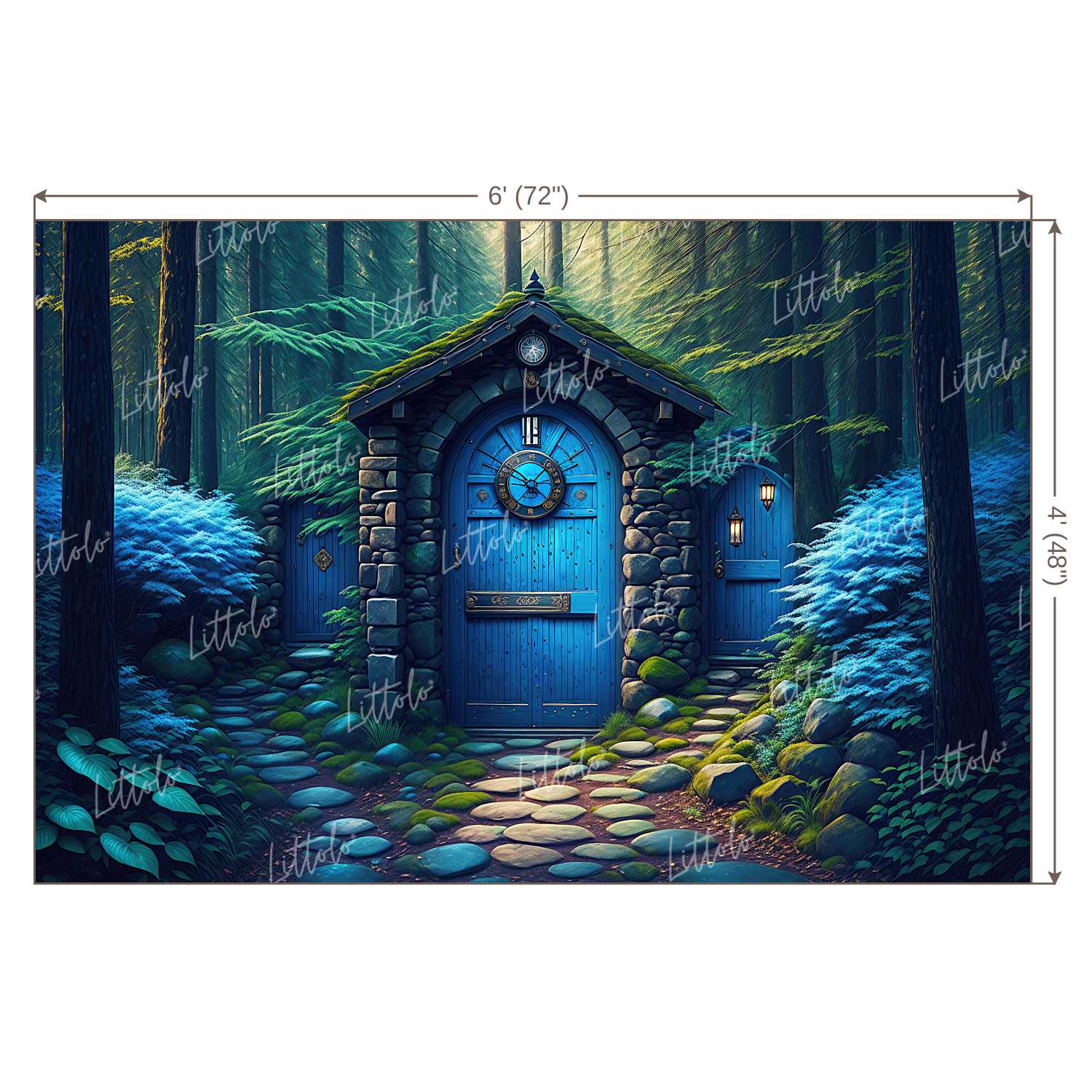 LB0954 Enchanted Doorway Backdrop