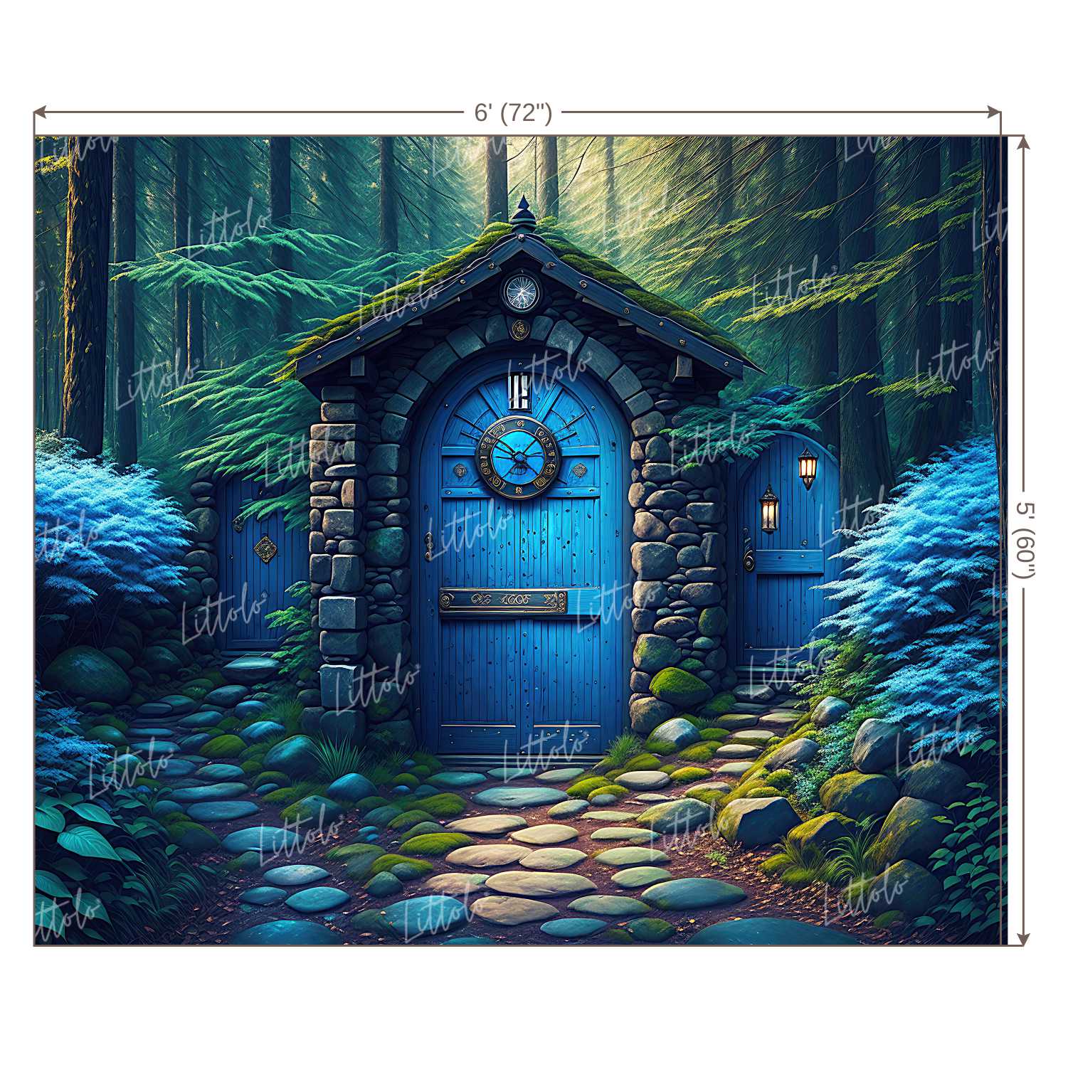 LB0954 Enchanted Doorway Backdrop