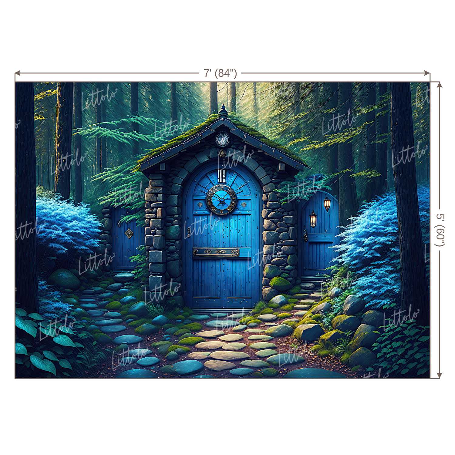 LB0954 Enchanted Doorway Backdrop