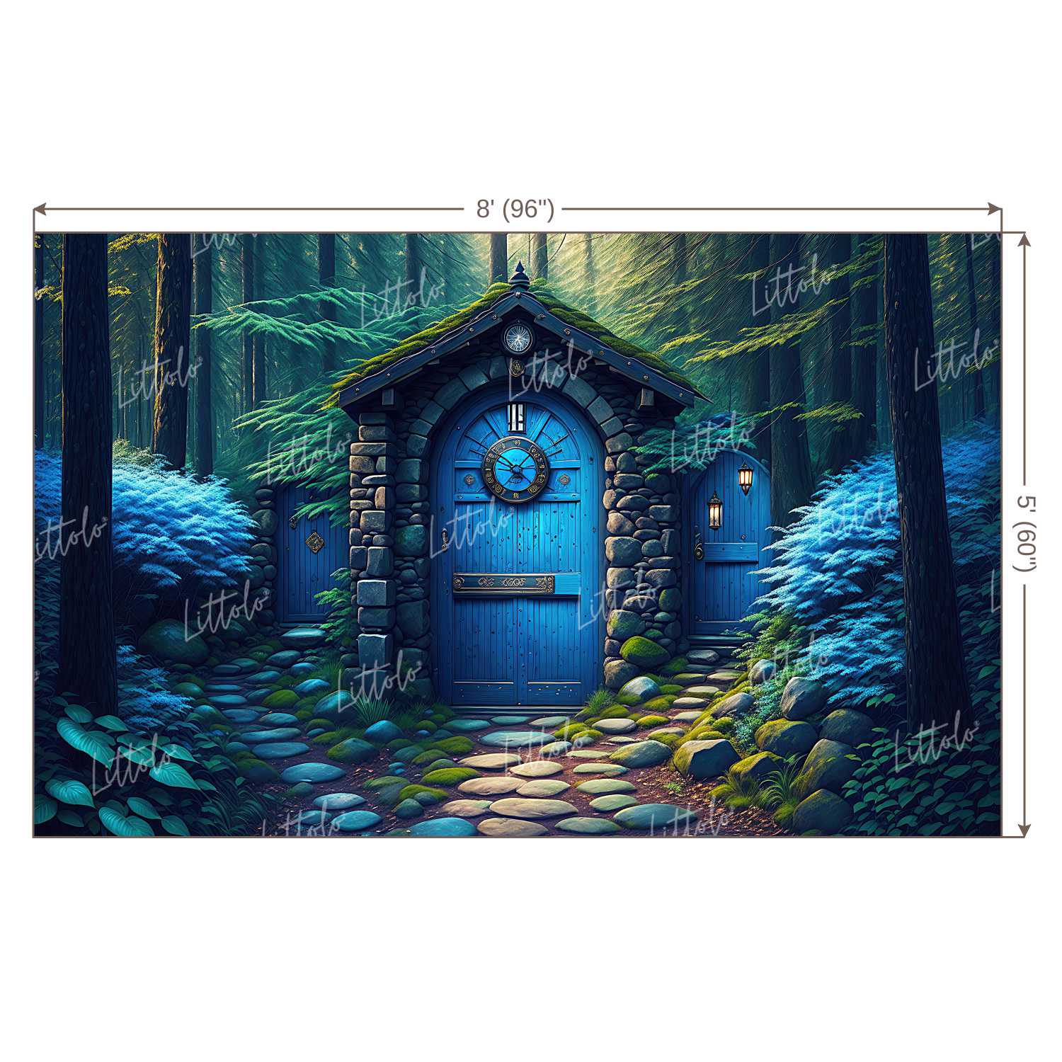 LB0954 Enchanted Doorway Backdrop