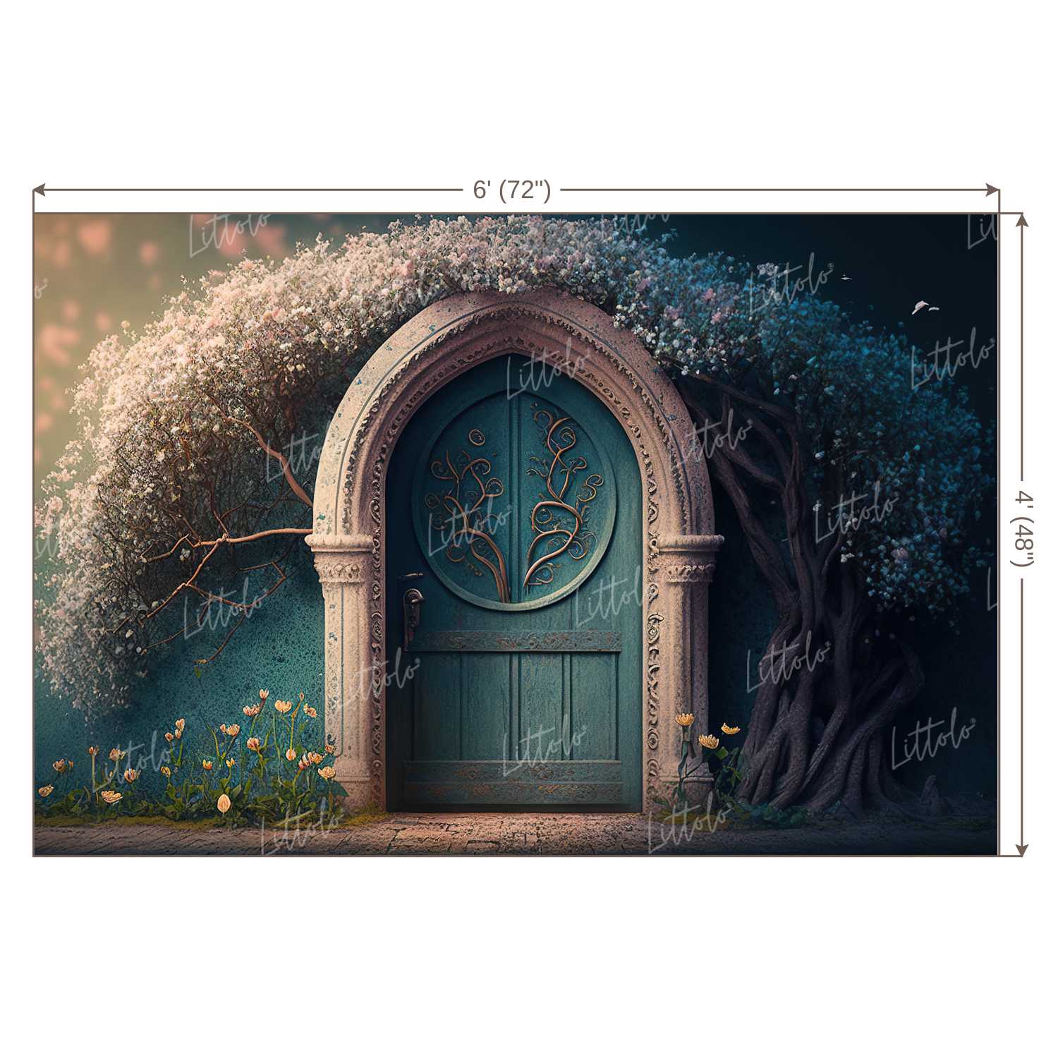 LB0965 Enchanted Doorway Backdrop