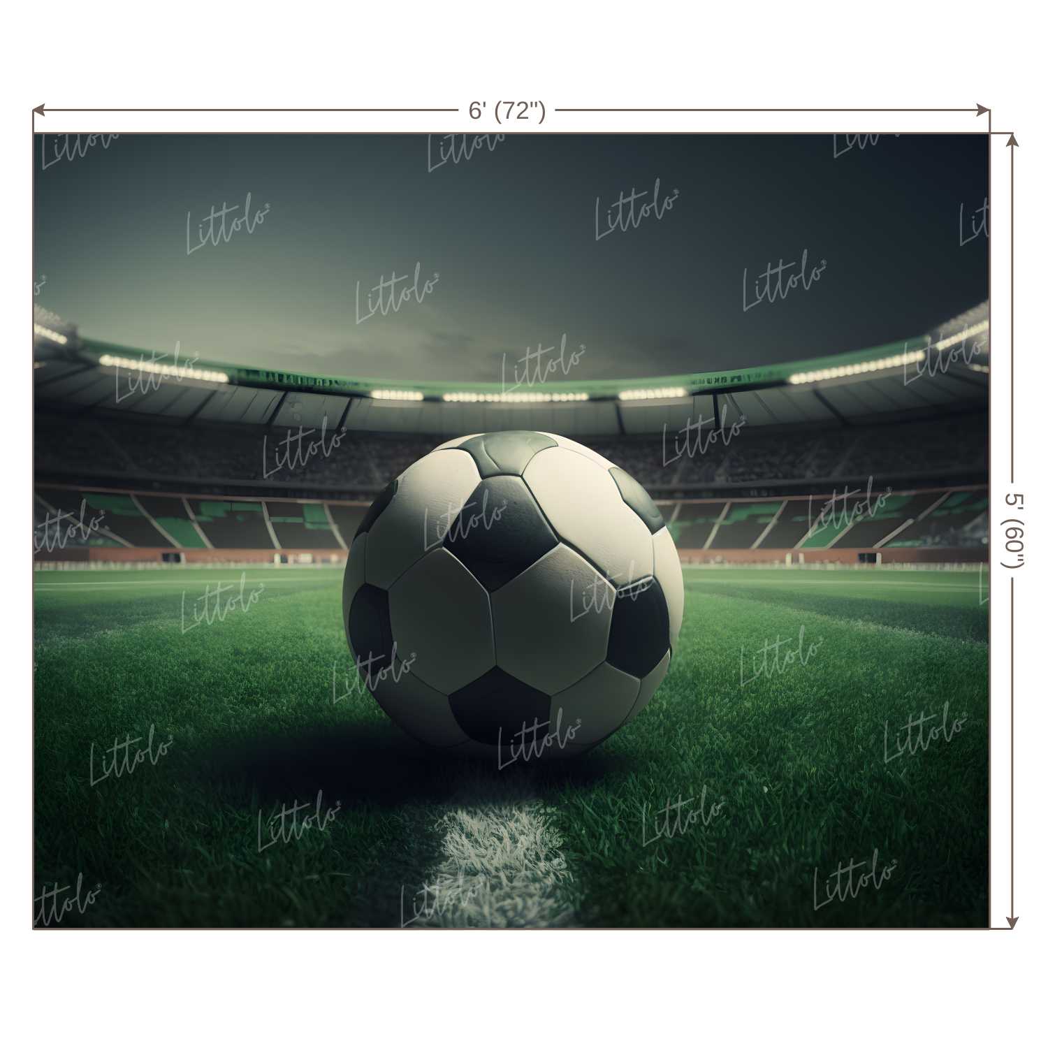 LB1028 Sports Football Backdrop