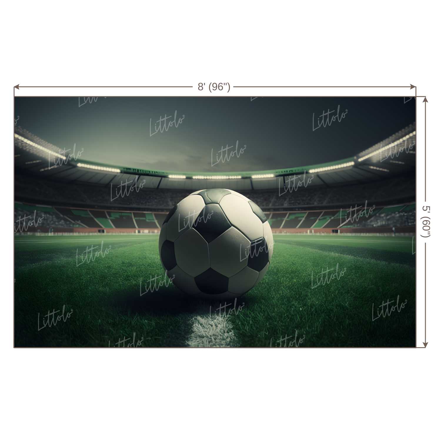 LB1028 Sports Football Backdrop