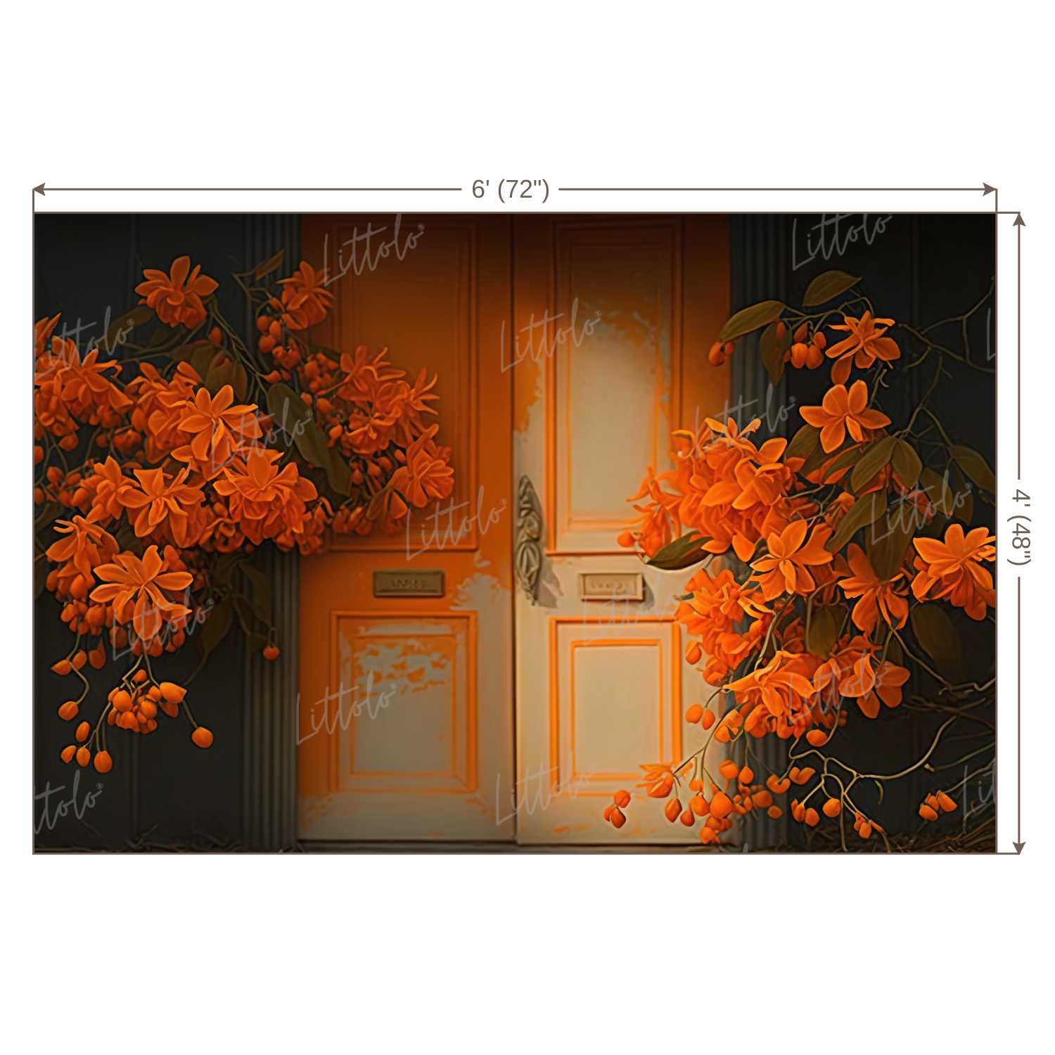 LB1032 Enchanted Doorway Backdrop