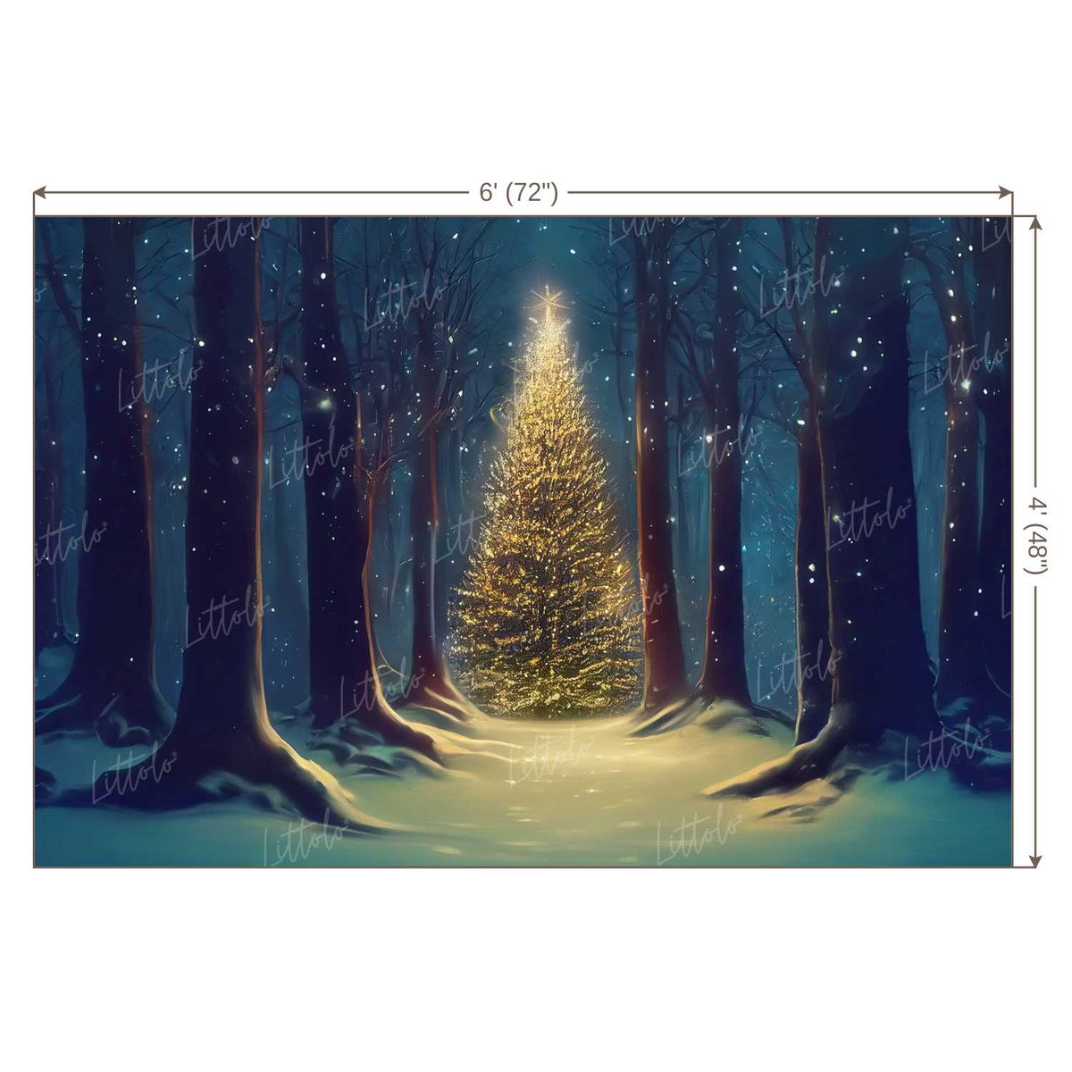 LB1046 Festive Christmas Backdrop