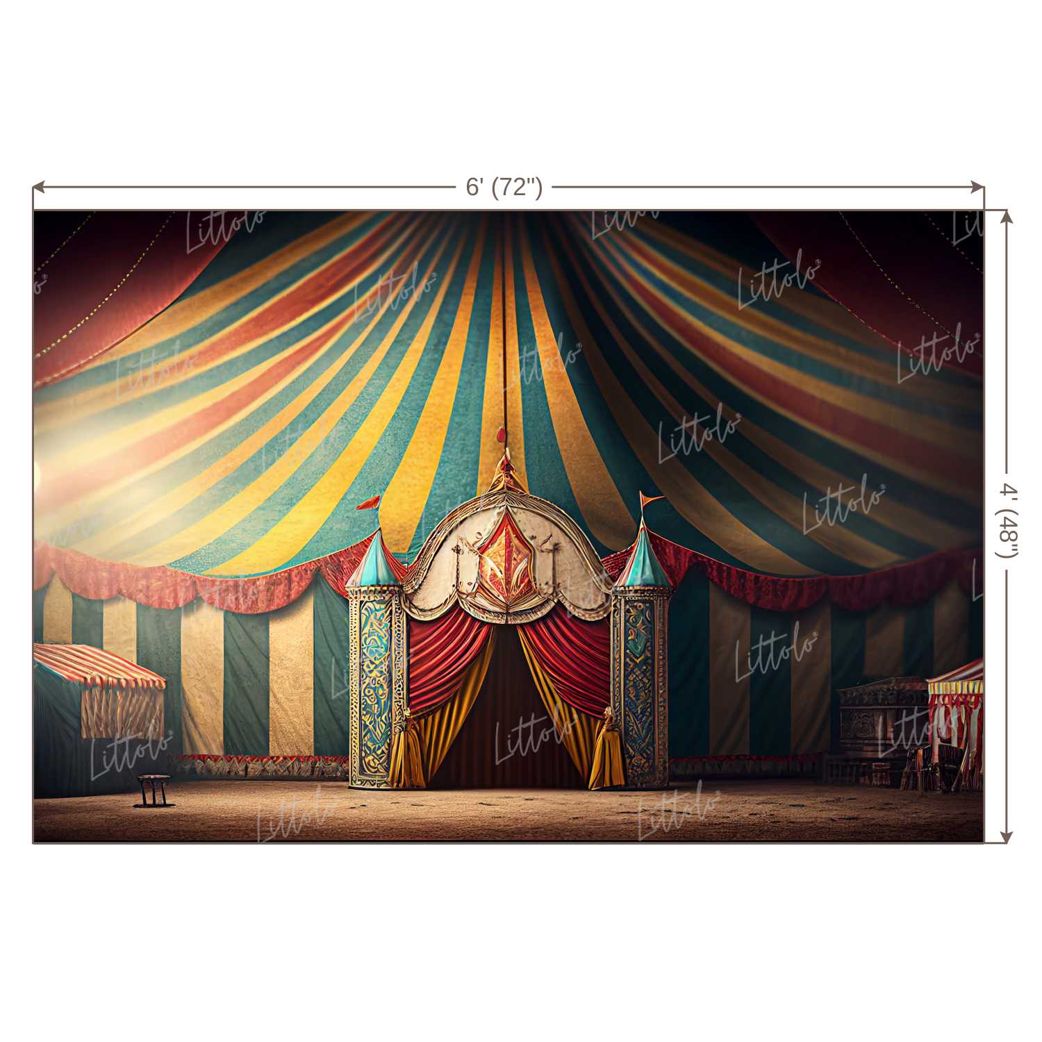 LB1049 Circus Backdrop