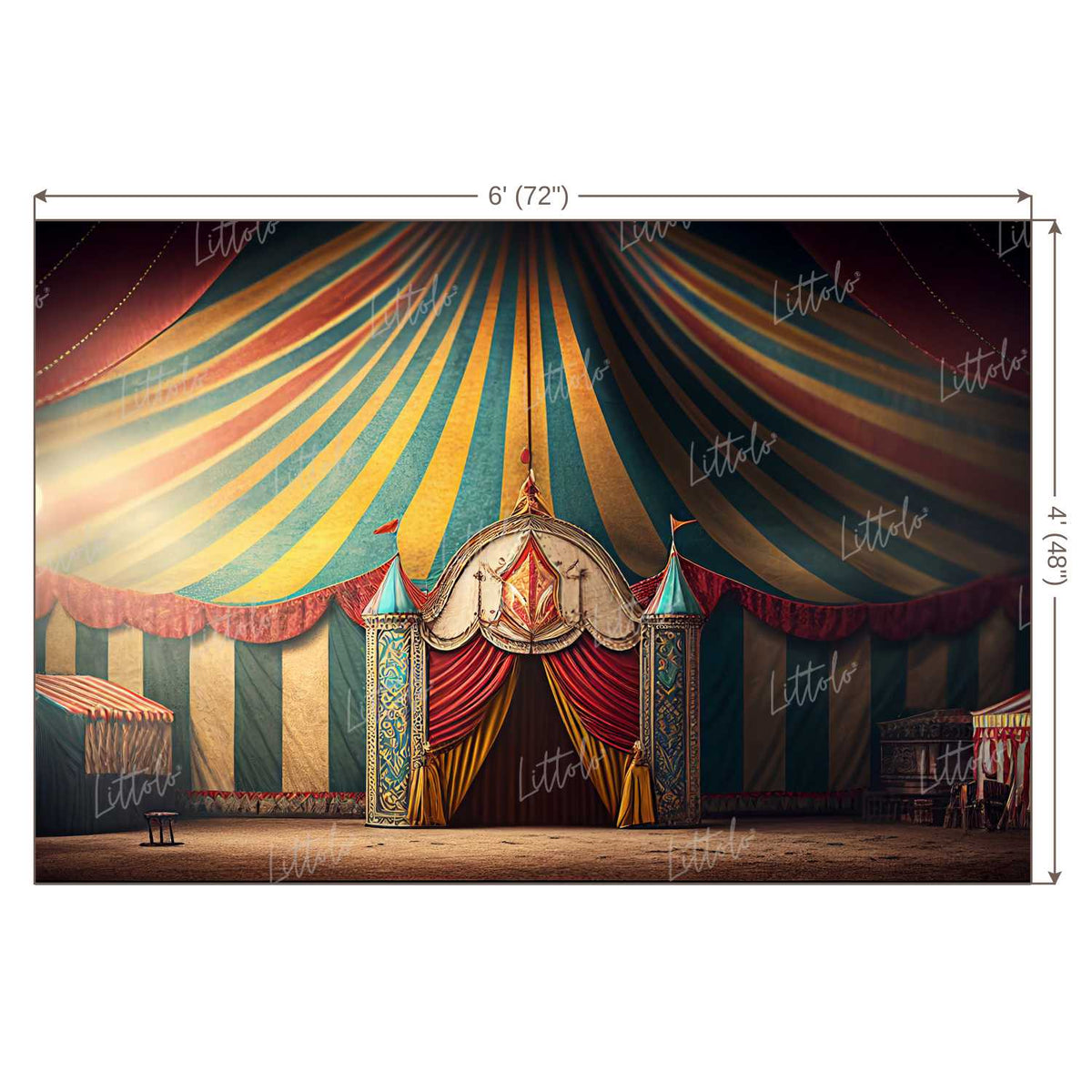 LB1049 Circus Backdrop