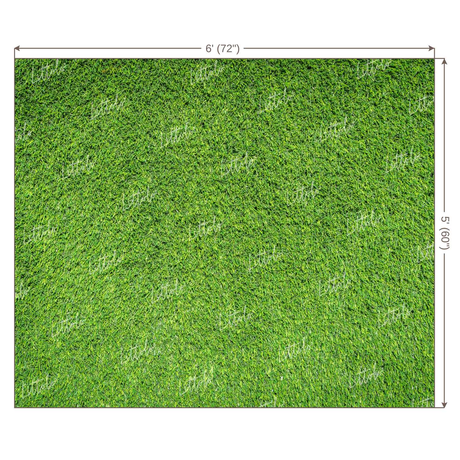 LB1071 Grass Theme Backdrop