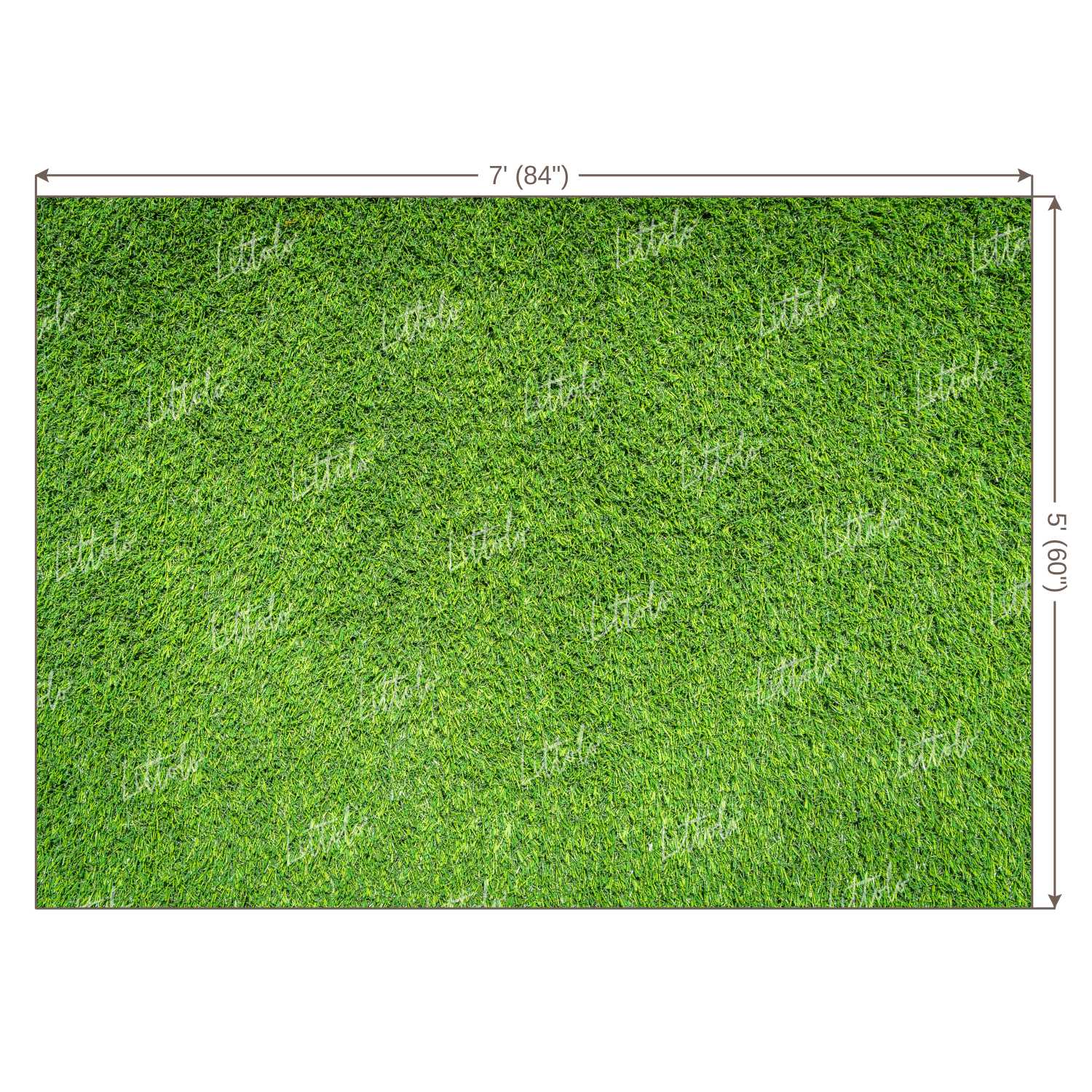 LB1071 Grass Theme Backdrop