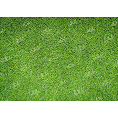 LB1071 Grass Theme Backdrop