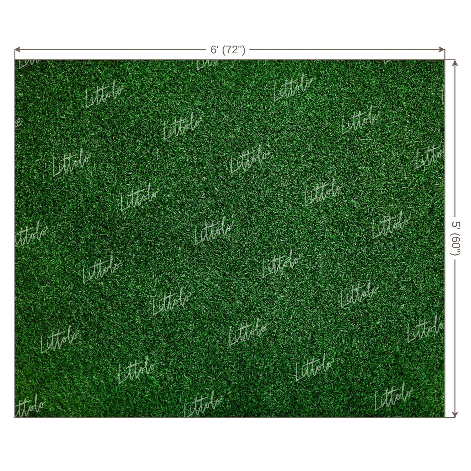 LB1072 Grass Theme Backdrop